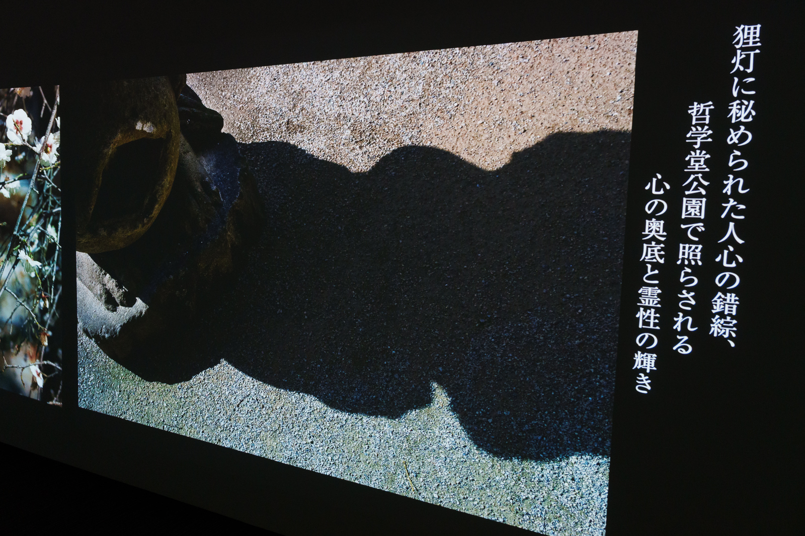 AIがスライドショーを作成しているため、佐藤氏が写真のチョイスをしたり、順番を決めたりはしていないという