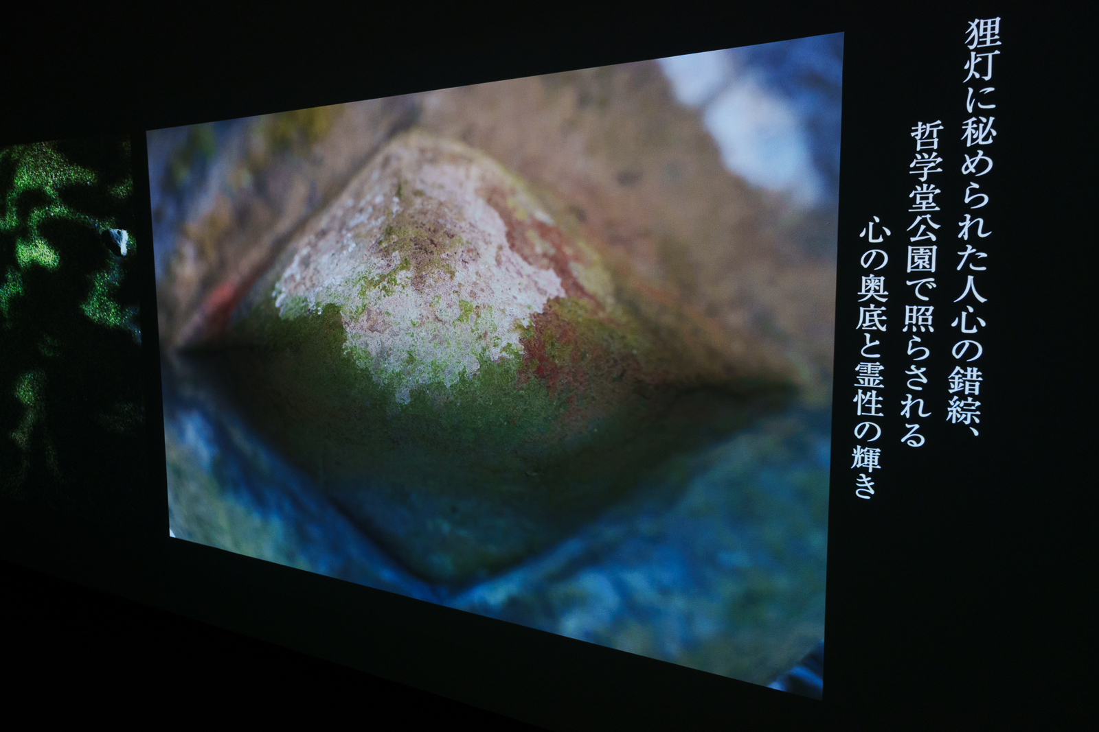 前の画像の次に表示された画像。繋がりに違和感はなかった