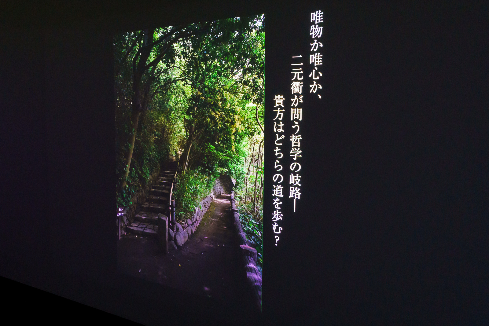 分岐の写真では「岐路」をテーマにしたコメントが生成されており、写真の内容を認識していることが伺える