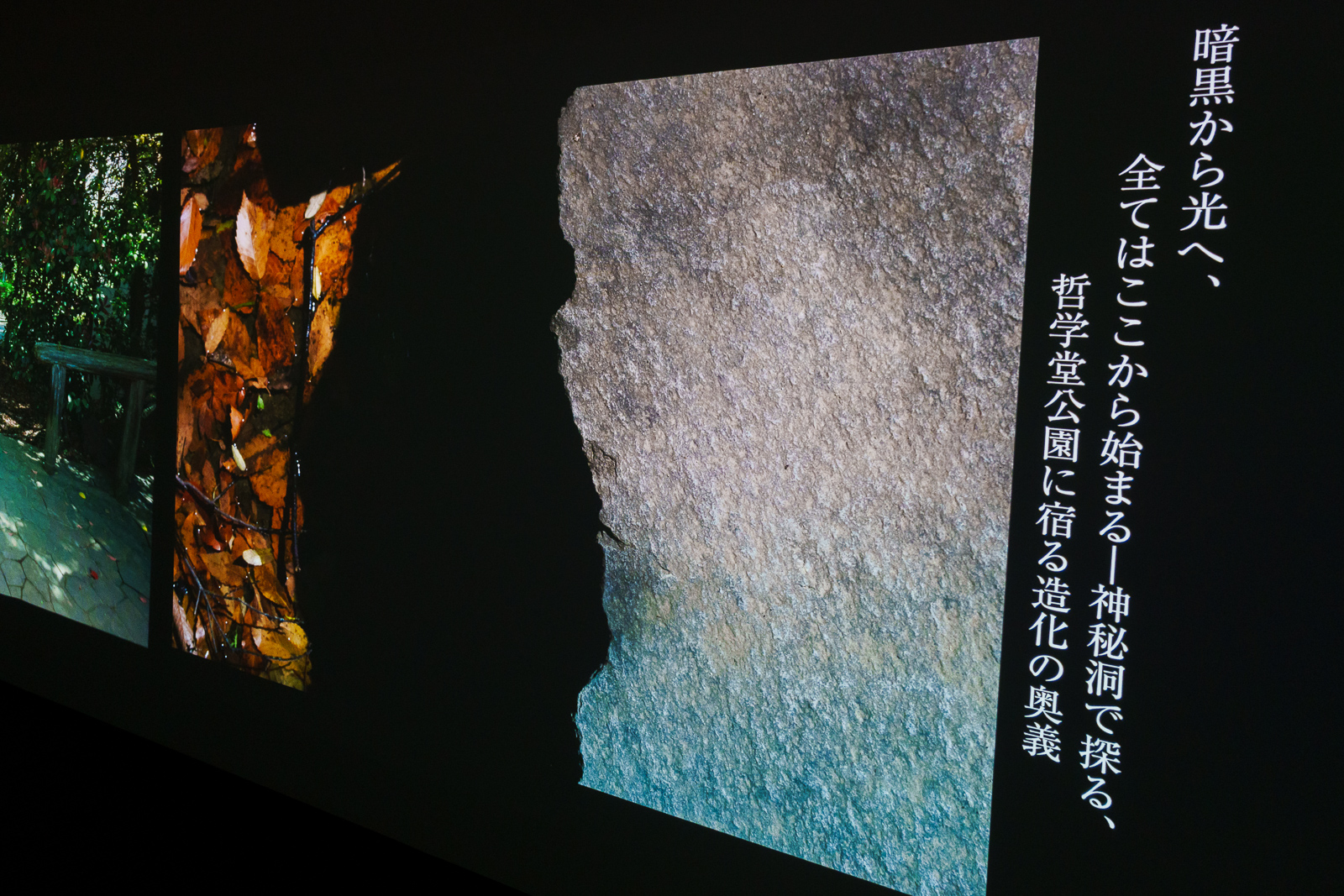 明暗差を生かした作品にも、「それっぽい」キャプションが生成されていた