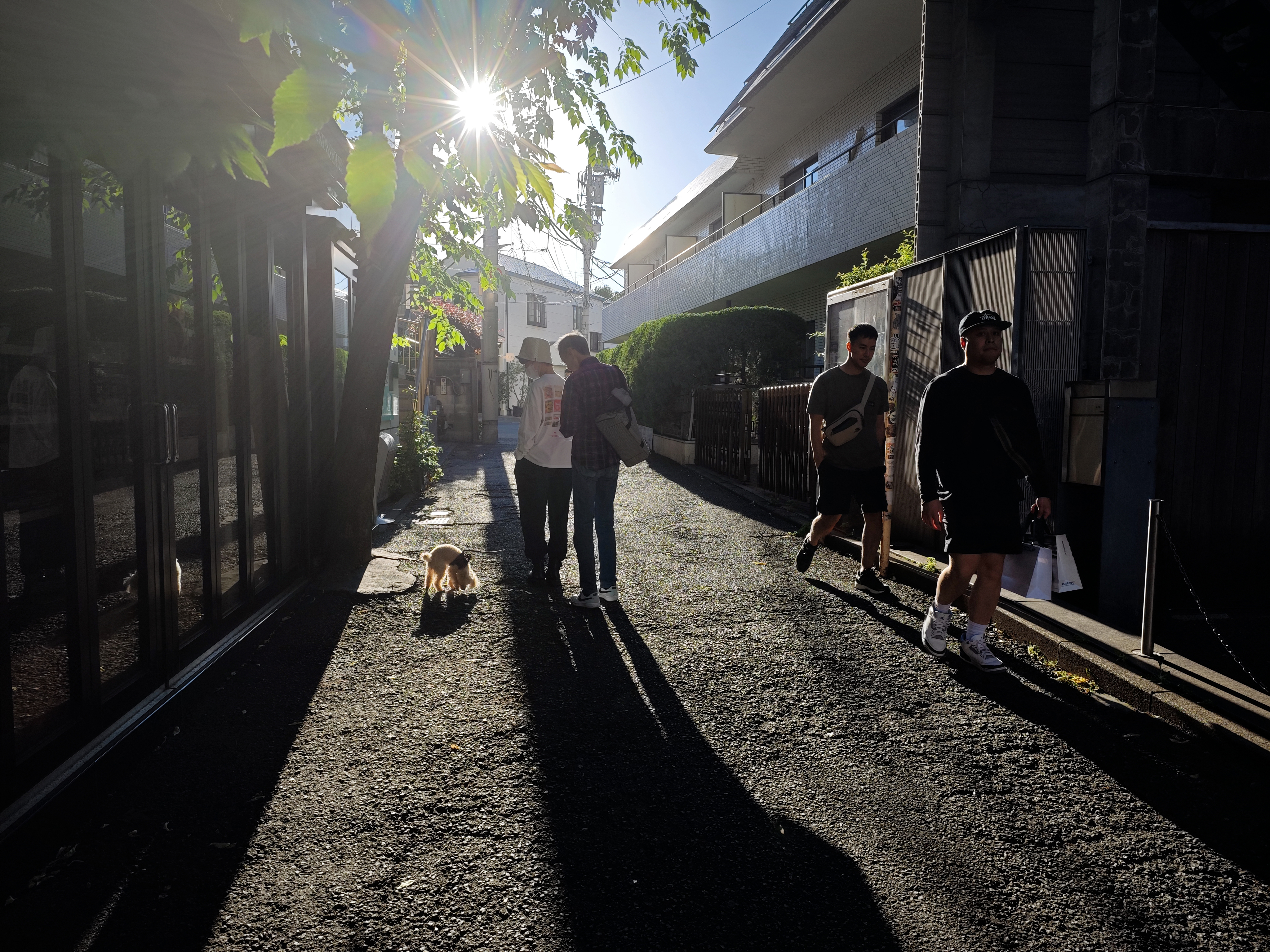 代官山の路地を歩く。注目はF4で描き出した写真らしい太陽の光条。従来のスマートフォンにはないF1.63～F4の可変絞り機構を持つ23mmレンズだからこそ可能になった表現だ<br><span class="fnt-85">23mm相当／絞り優先AE（F4、1/603秒、－0.7EV）／ISO 50／WB：オート</span>
