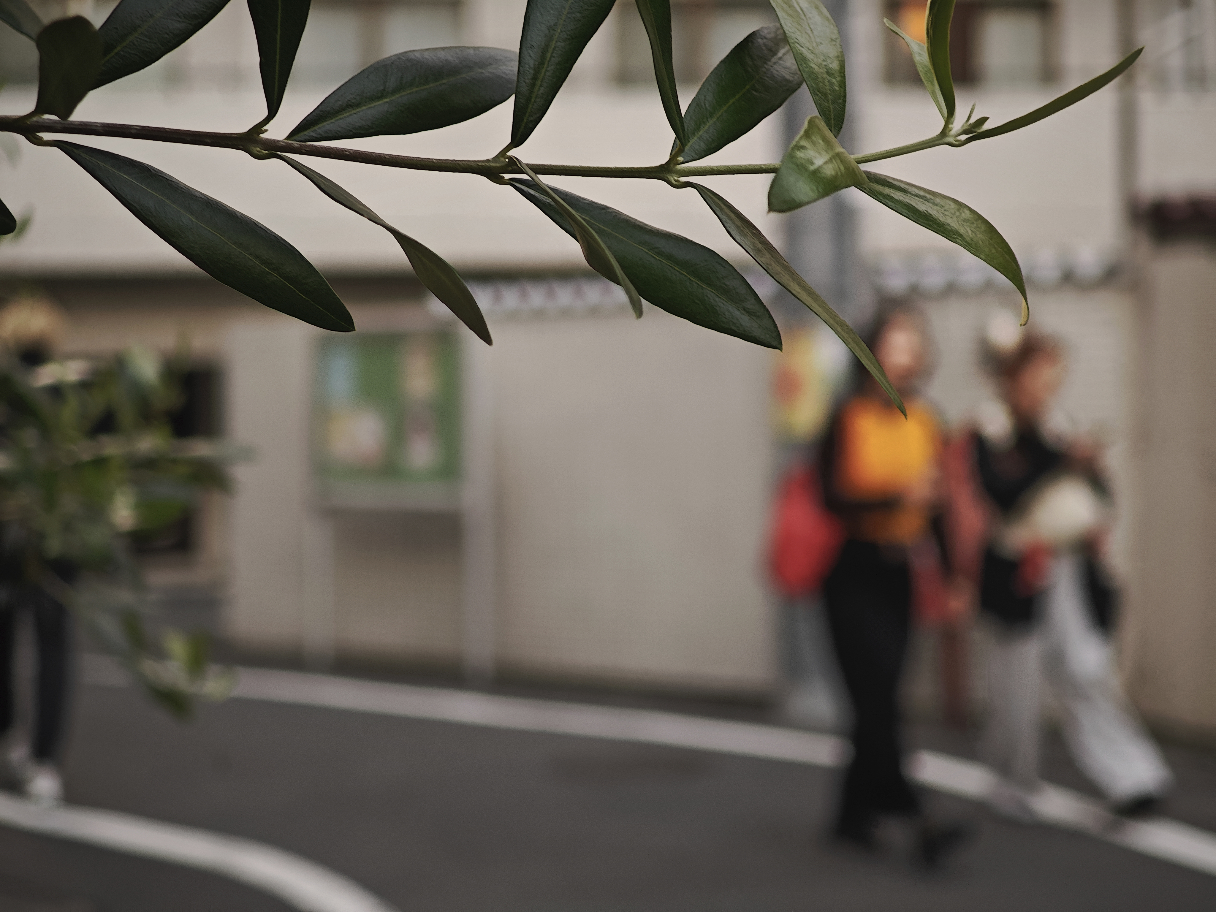 夕方の雰囲気を演出するため、トーンを－10、暖色を30に設定した。自分好みの仕上がりを細かく設定できるのもXiaomi 14 Ultraの良さだろう<br><span class="fnt-85">75mm相当／絞り優先AE（F1.8、1/100秒、－0.2EV）／ISO 80／WB：オート／トーン：－10　色調：30/0　彩度：0　質感：20</span>