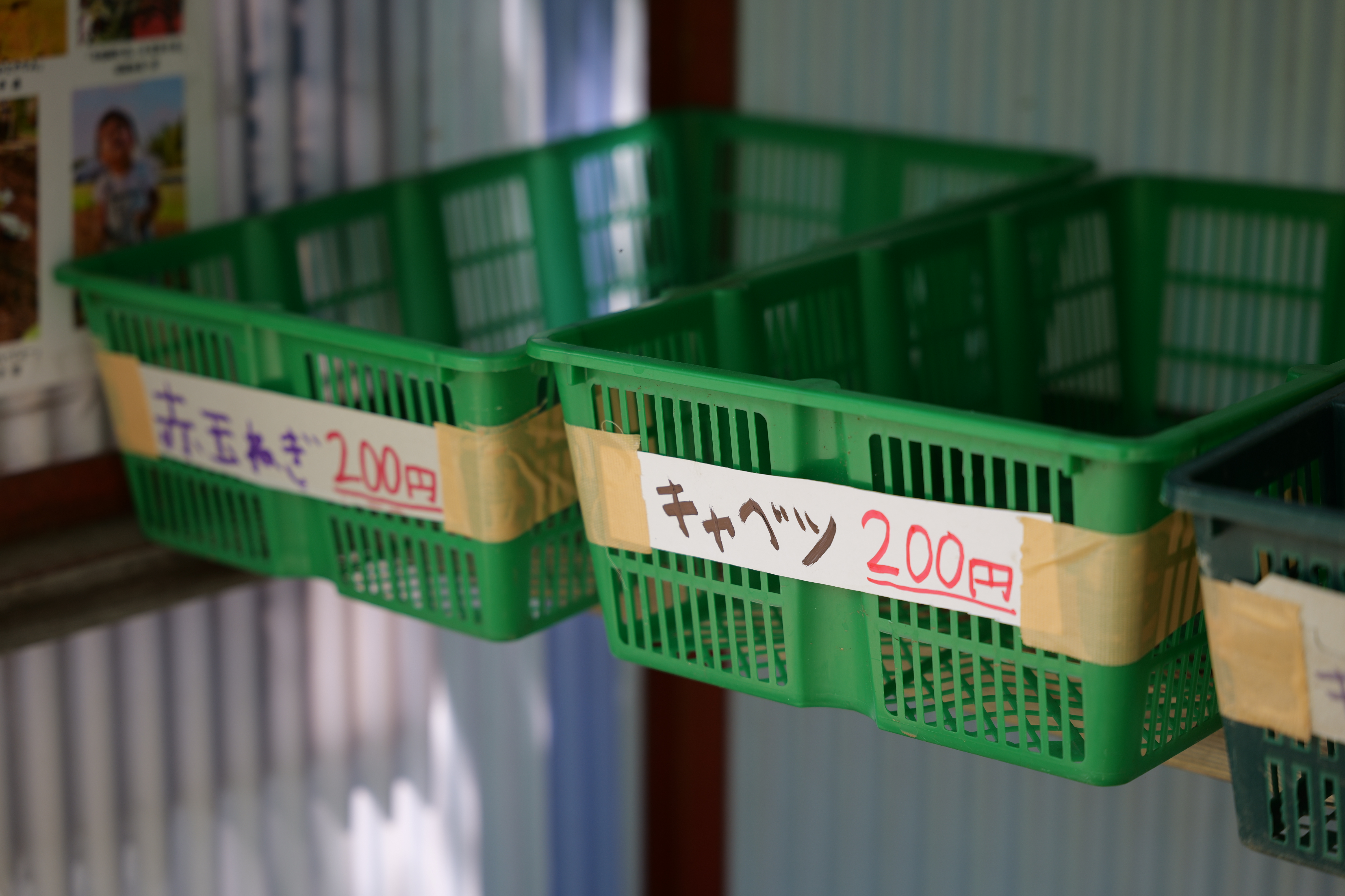 パナソニック LUMIX S5II／SIGMA 24-70mm F2.8 DG DN II｜Art／70mm／絞り優先AE（1/160秒、F2.8、±0.0EV）／ISO 100