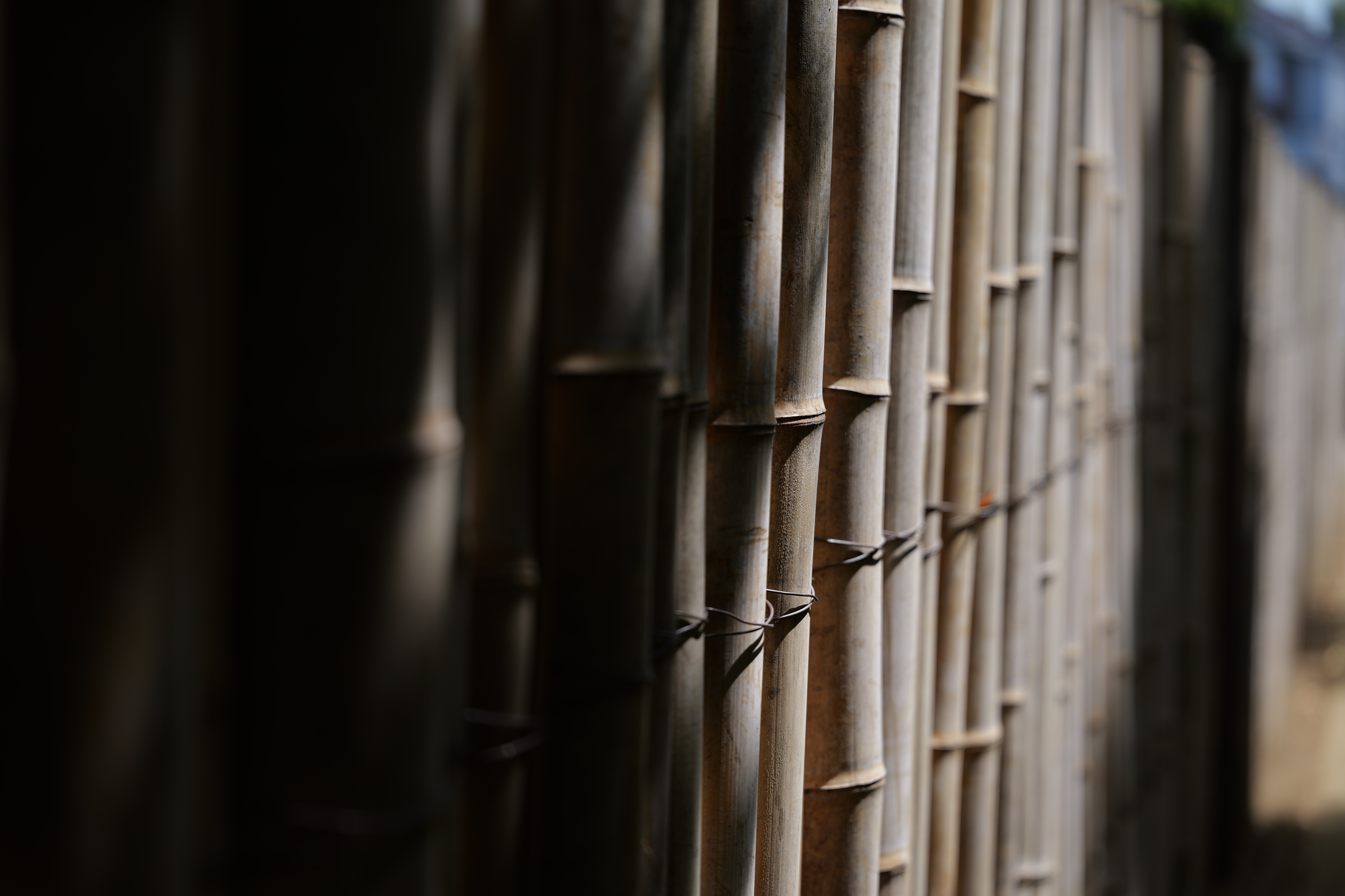 パナソニック LUMIX S5II／SIGMA 24-70mm F2.8 DG DN II｜Art／70mm／絞り優先AE（1/640秒、F2.8、−1.0EV）／ISO 100