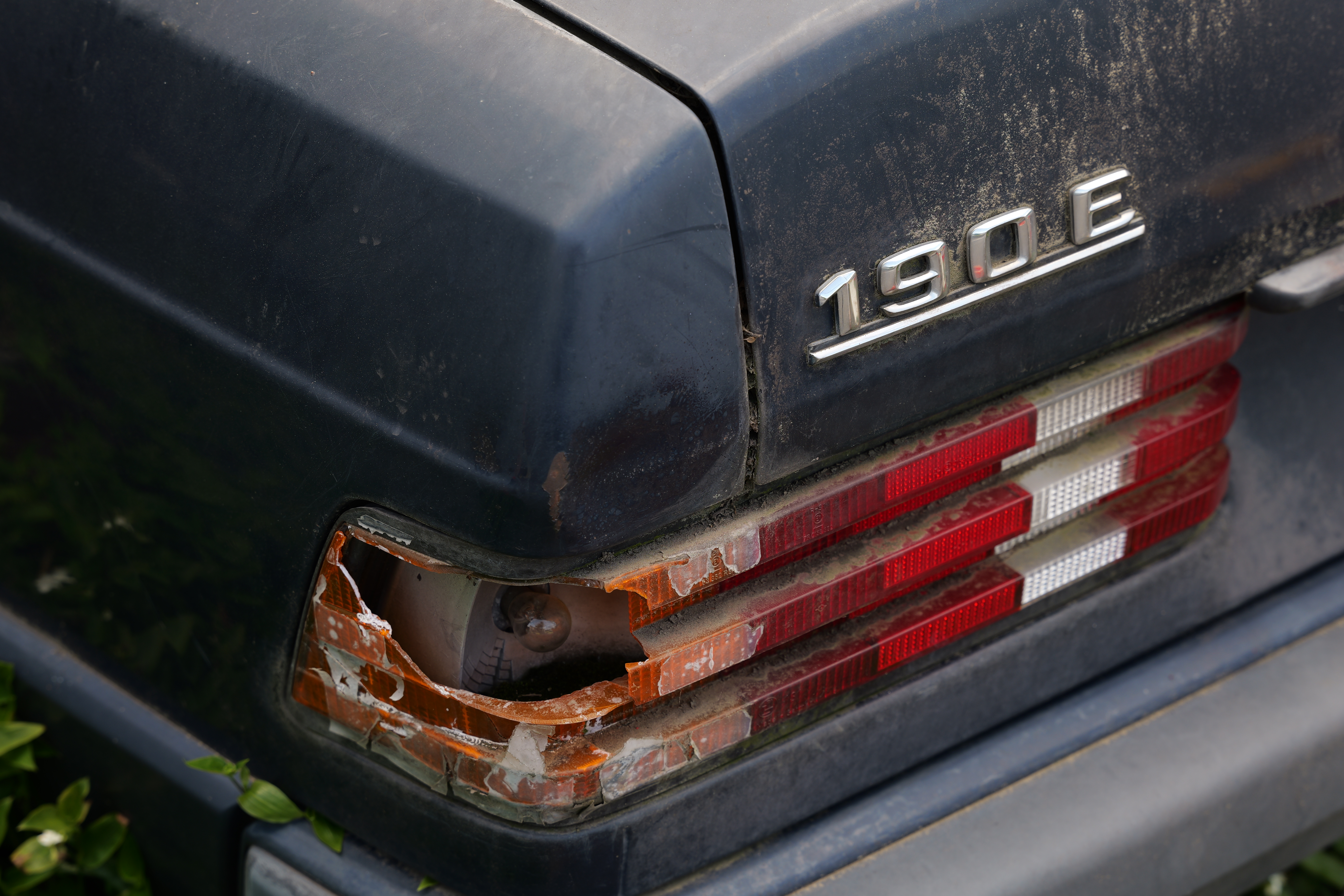 パナソニック LUMIX S5II／SIGMA 24-70mm F2.8 DG DN II｜Art／70mm／絞り優先AE（1/80秒、F5.6、−0.3EV）／ISO 125