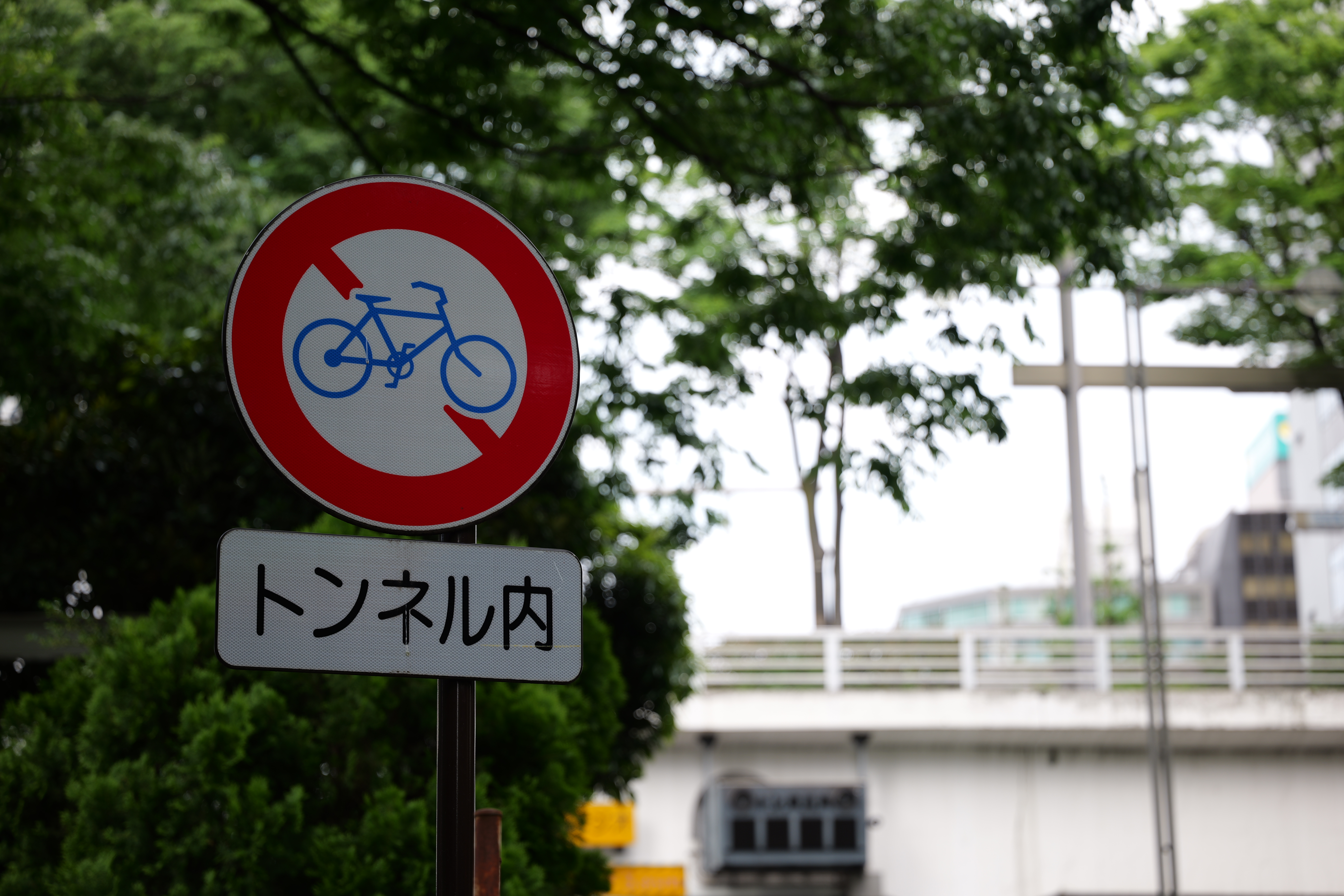 パナソニック LUMIX S5II／SIGMA 24-70mm F2.8 DG DN II｜Art／70mm／絞り優先AE（1/125秒、F2.8、＋0.7EV）／ISO 125