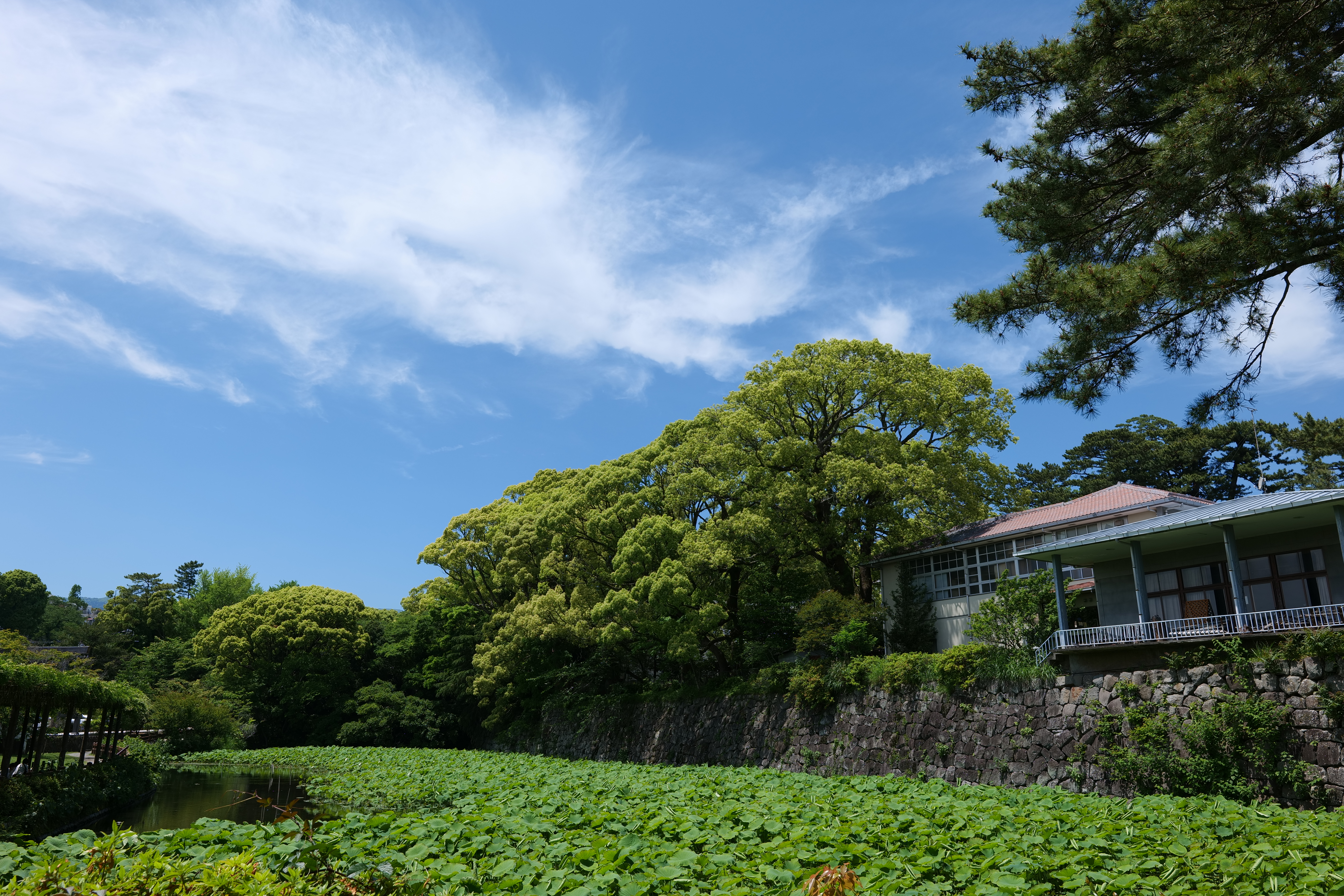 パナソニック LUMIX S5／SIGMA 24-70mm F2.8 DG DN II｜Art／24mm／絞り優先AE（1/200秒、F8.0、±0.0EV）／ISO 100