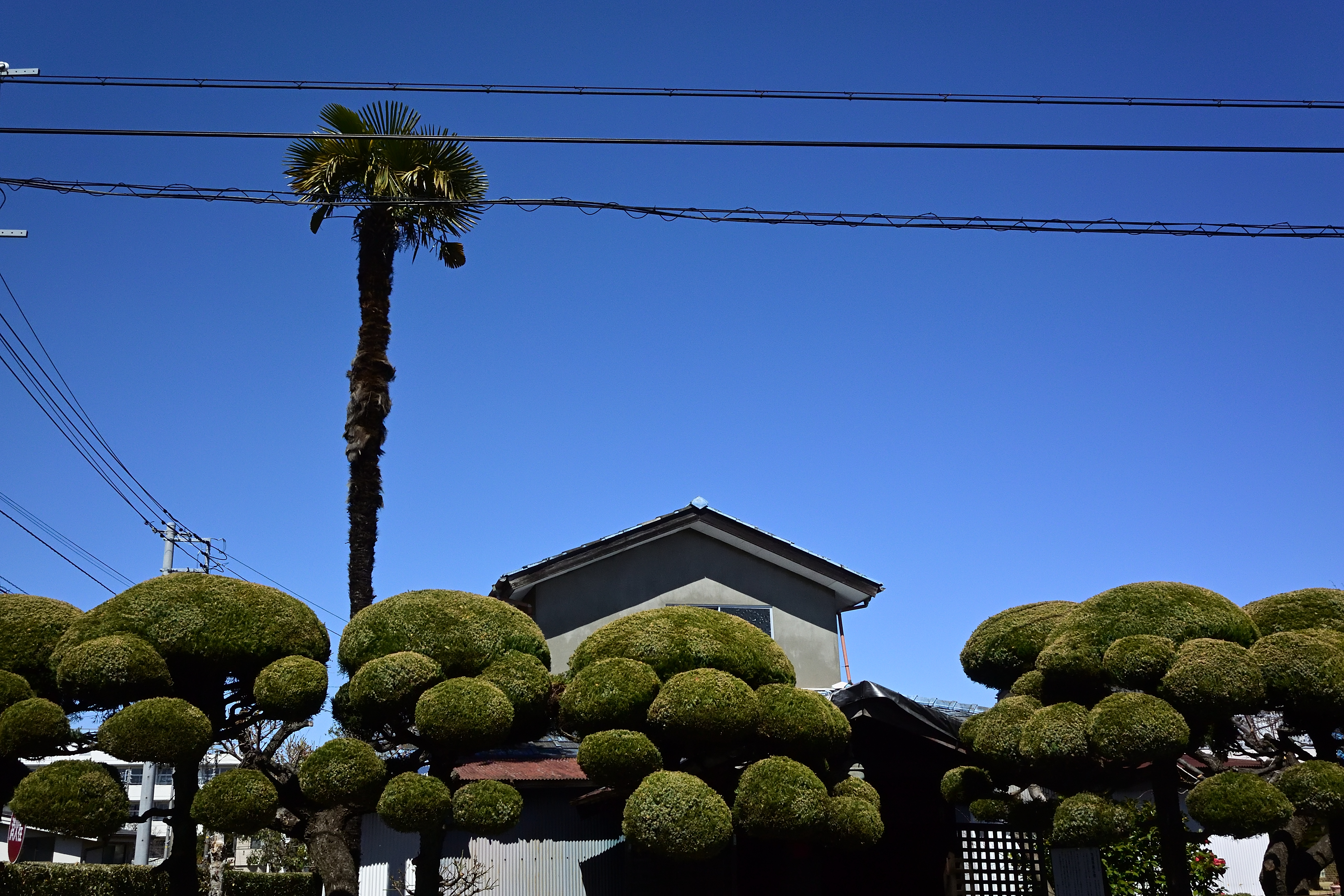 青空好きの筆者としてはこういう深みのある色再現をしていただけるだけでご飯食べられます。だから太るのですが<br><span class="fnt-85">NIkon 1 V3／1 NIKKOR VR 10-30mm f/3.5-5.6 PD-ZOOM／12.6mm（34mm相当）／絞り優先AE（1/1,250秒、F8.0、−0.7EV）／ISO 400</span>