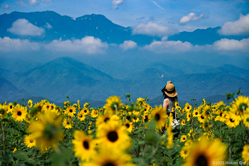 ほくとサンフェスフォトコンテスト2023最優秀賞作品