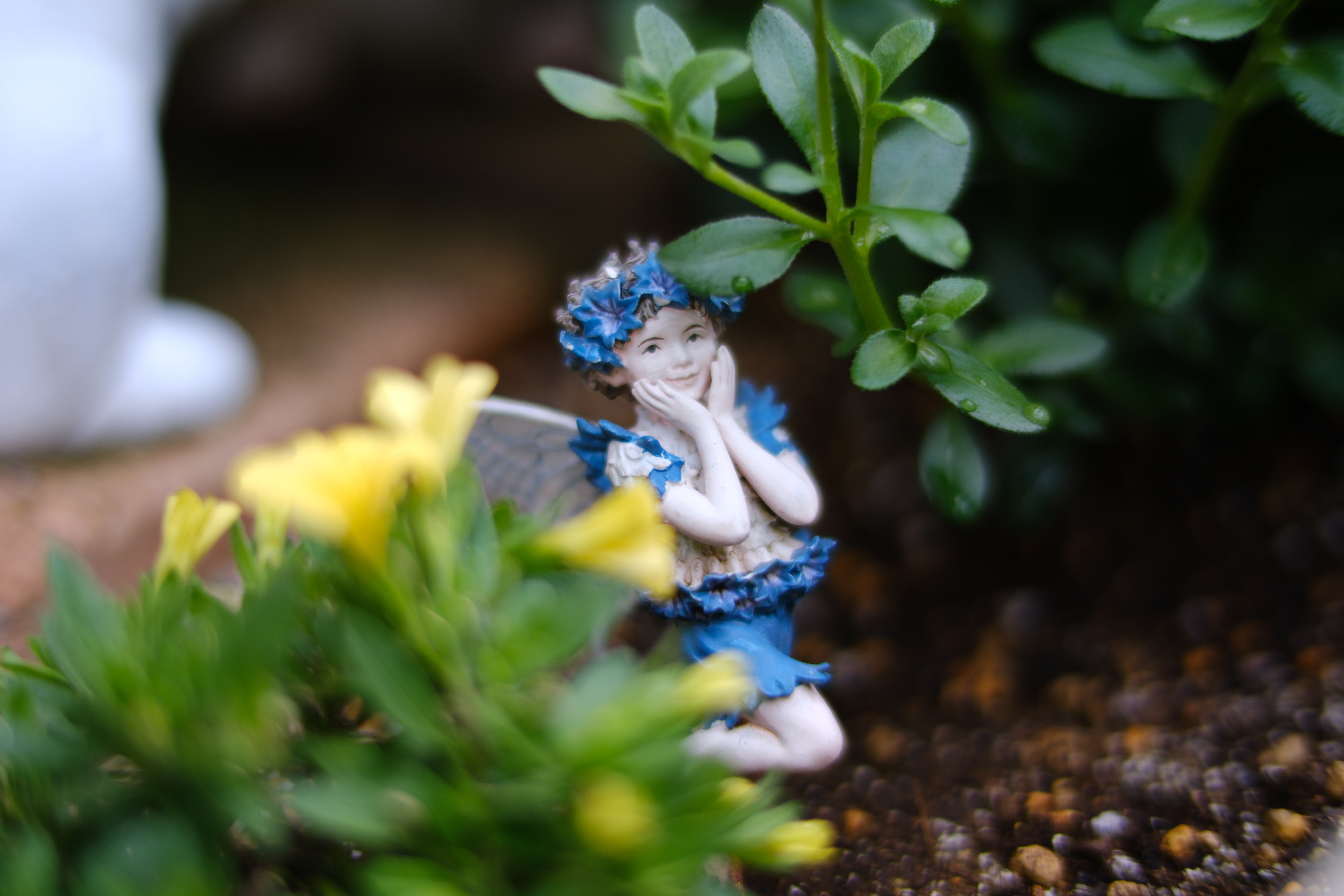 X-H2S／NOKTON 50mm F1.2／18mm（28mm相当）／絞り優先AE（1/340秒、F1.2）／ISO 160