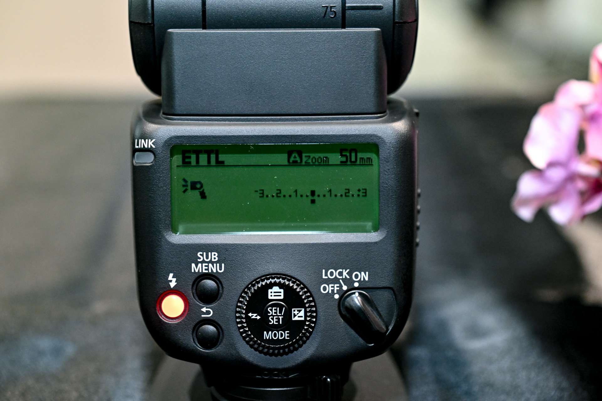 背面ディスプレイと操作部