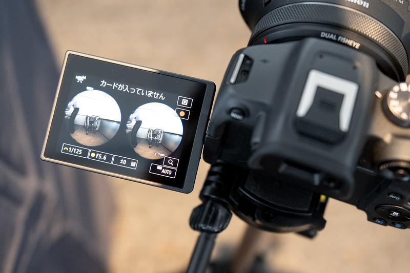 Canon RF-S3.9mm F3.5 STM デュアル魚眼レンズ RF-S3.9mm F3.5 STM DUAL FISHEYE：レンズ交換式カメラ・レンズ｜個人