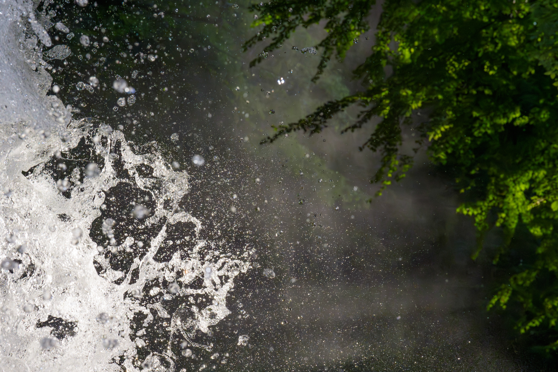 撮影：萩原れいこ<br><span class="fnt-85">α9 III／FE 70-200mm F2.8 GM OSS II／絞り優先AE（1/6,400秒・F11・＋1.7EV）／ISO 6400</span>