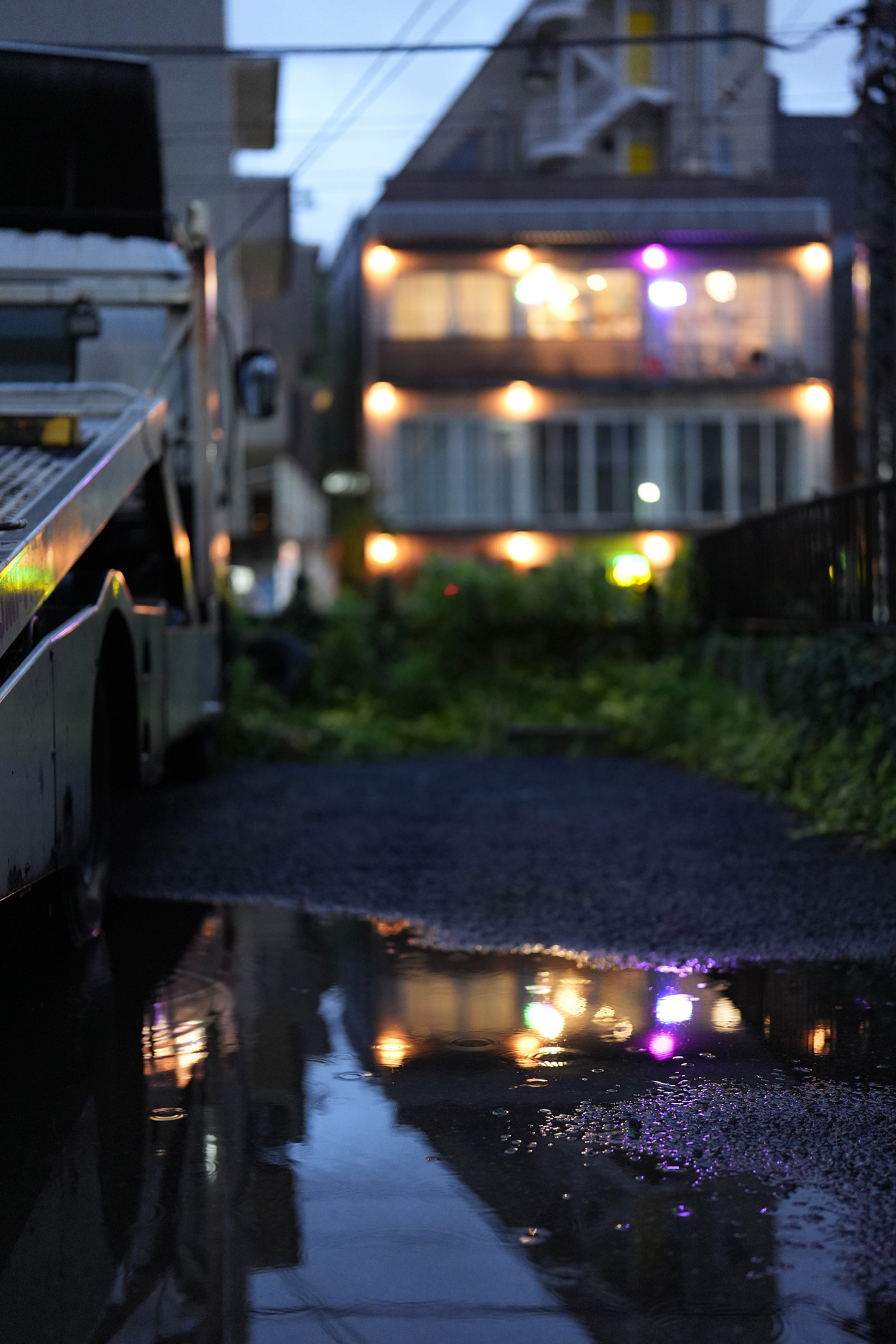 撮影：阿部秀之<br><span class="fnt-85">α9 III／FE 50mm F1.4 GM／絞り優先AE（1/50秒・F1.4・－0.3EV）／ISO 2000</span>