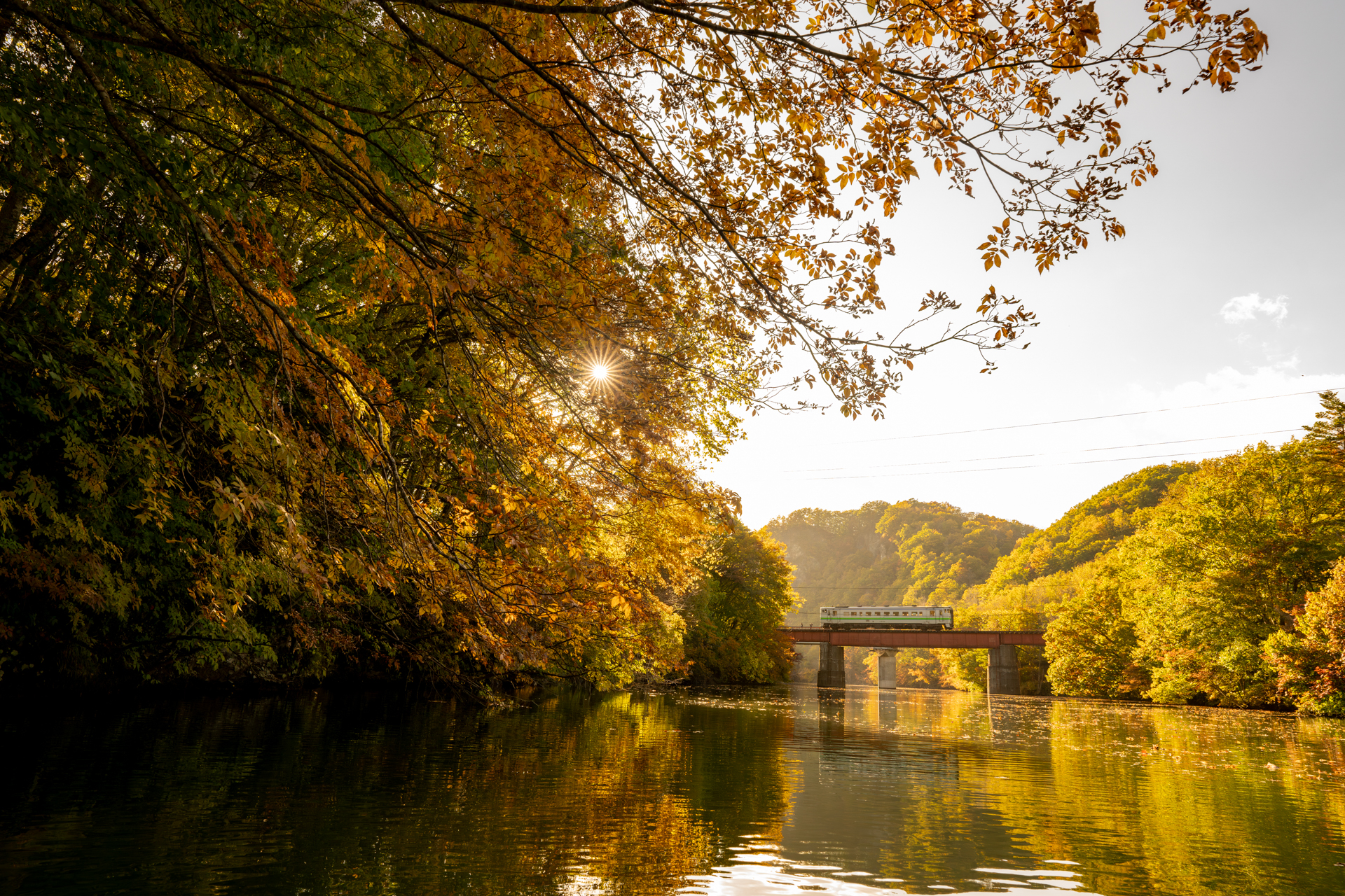 <span class="fnt-85">ソニー α1／FE 16-35mm F2.8 GM II／20mm／絞り優先AE（F8、1/320秒、＋0.7EV）／ISO 800／WB：日陰／根室本線（廃線区間）金山～下金山</span>