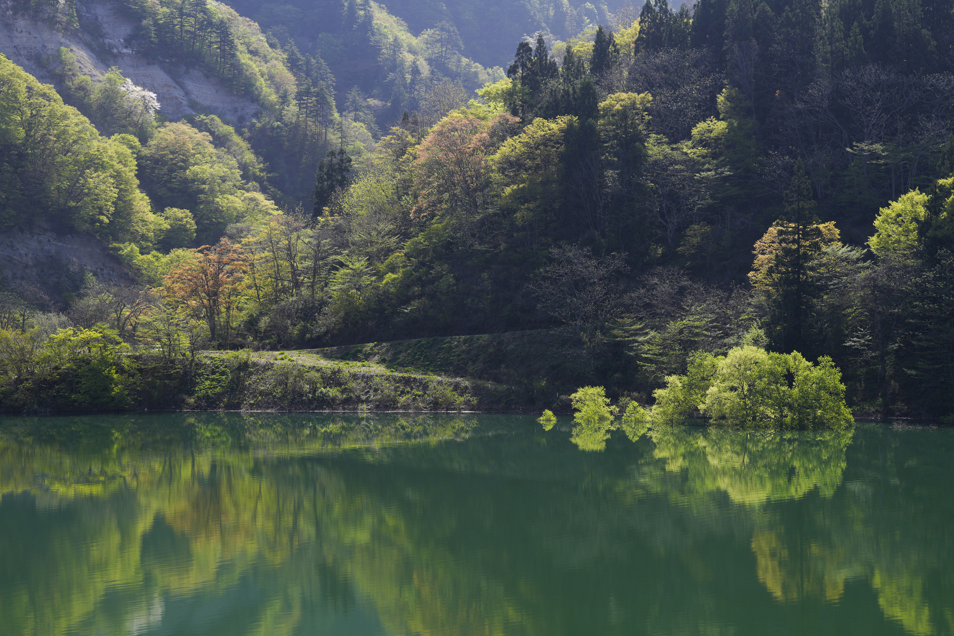 フィルターを使っても解像感の変化は少ない<br><span class="fnt-85">ソニー α7R V／FE 70-200mm F2.8 GM OSS II／90mm／絞り優先AE（F8、1/100秒、－1.0EV）／ISO 100／WB：太陽光</span>