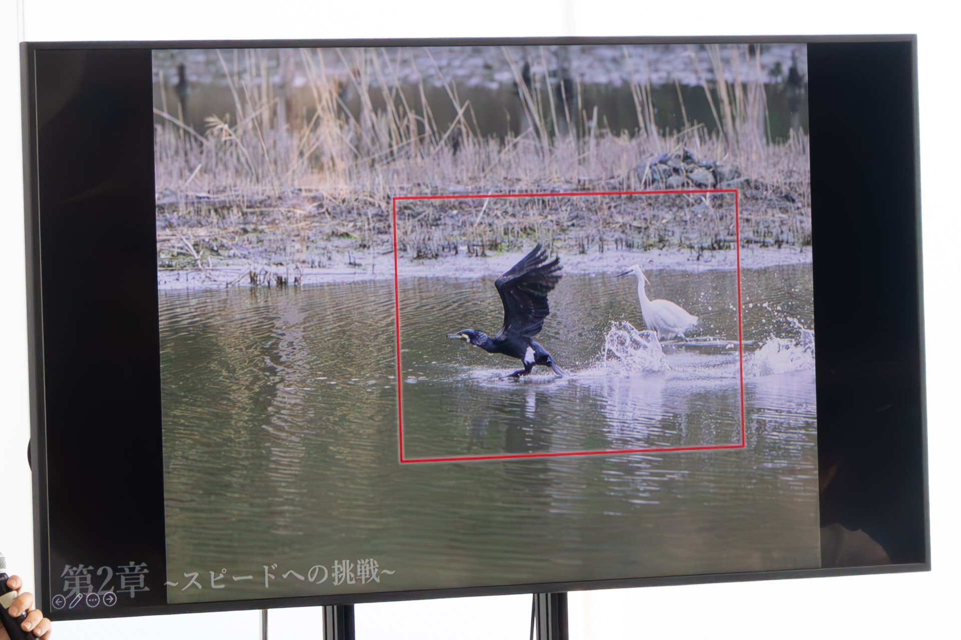 GF500mmF5.6 R LM OIS WRで撮影したオリジナル