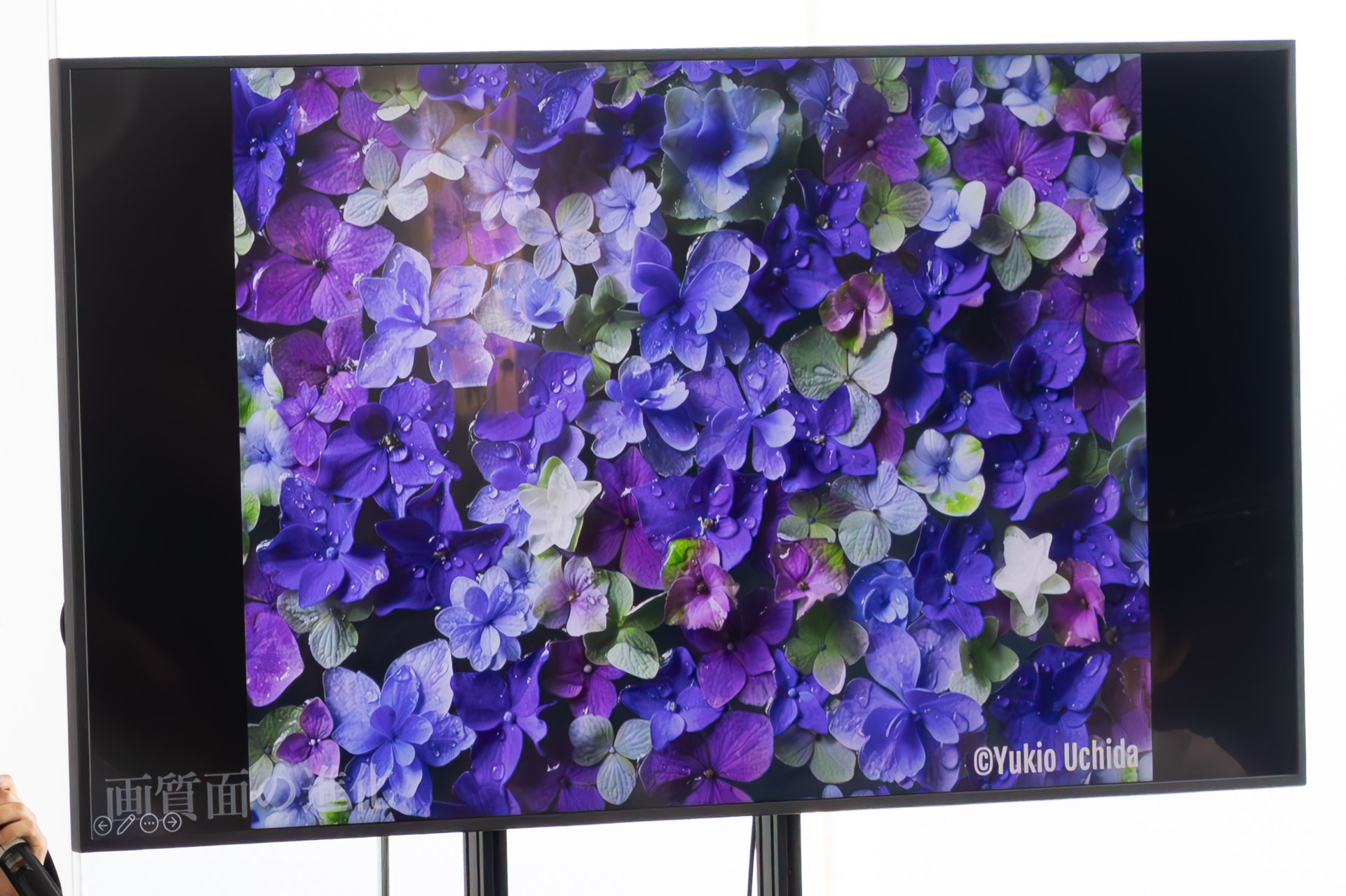 REALA ACEは紫や黄緑といった色も自然に表現できるそうだ