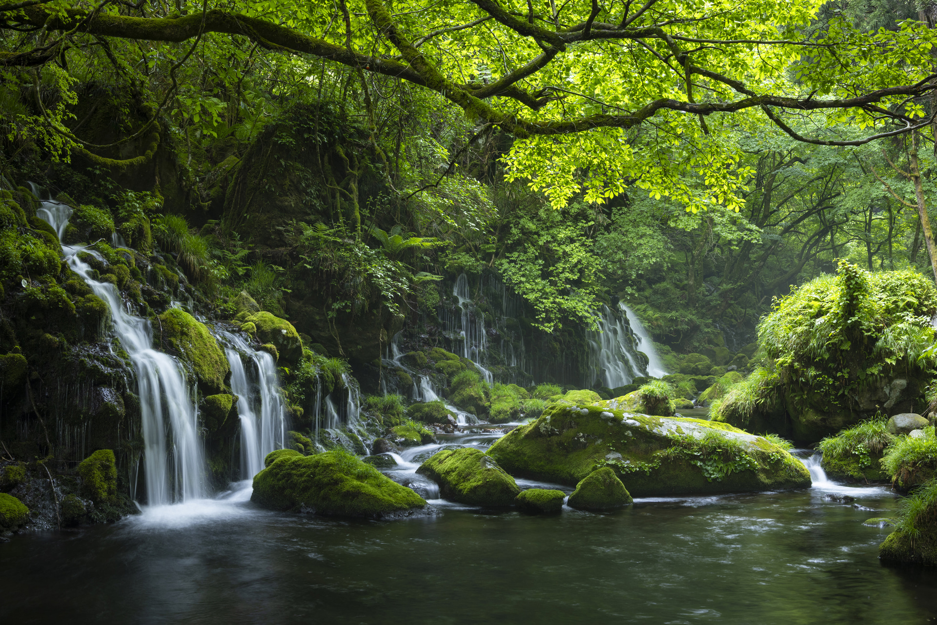 コケに覆われた神秘的な滝。35mmは目の前に広がる光景をそのまま写真に閉じ込められるような印象がある。滝を糸状に流すためF11まで絞っているので、手前から奥までシャープに写し出され、レンズの解像力を実感できた<br><span class="fnt-85">キヤノン EOS R5／RF35mm F1.4 L VCM／35mm／マニュアル露出（F11、1秒）／ISO 200／WB：4,800K</span>