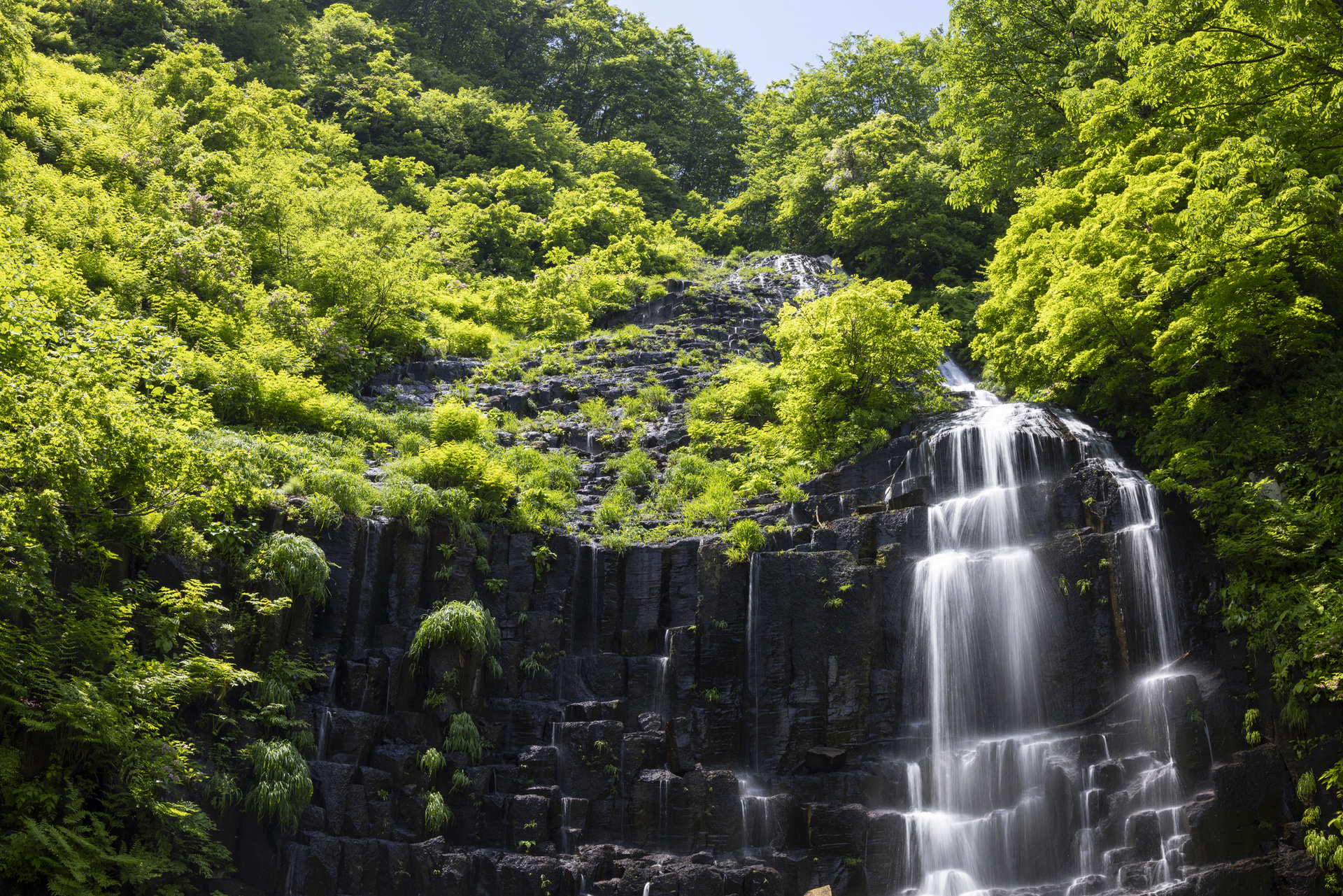 滝へ行く際、水量がもう少し多いことを期待していたが、到着してみるとそれほど水量はなかった。本来は縦位置で滝以外の要素を限定した構図にする予定だったが、横位置で周囲の新緑を取り込んだ構図に変更。画面周辺部の葉までしっかりと解像している<br><span class="fnt-85">キヤノン EOS R5／RF35mm F1.4 L VCM／35mm／マニュアル露出（F11、1/4秒）／ISO 100／WB：4,900K</span>