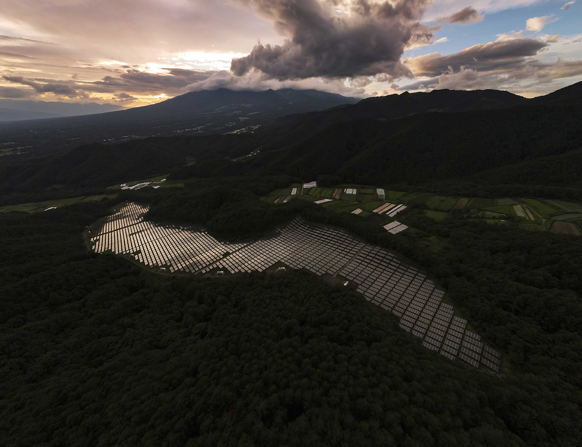 逸見祥希 光さす杜の声を聴く（ひかりさすもりのこえをきく）