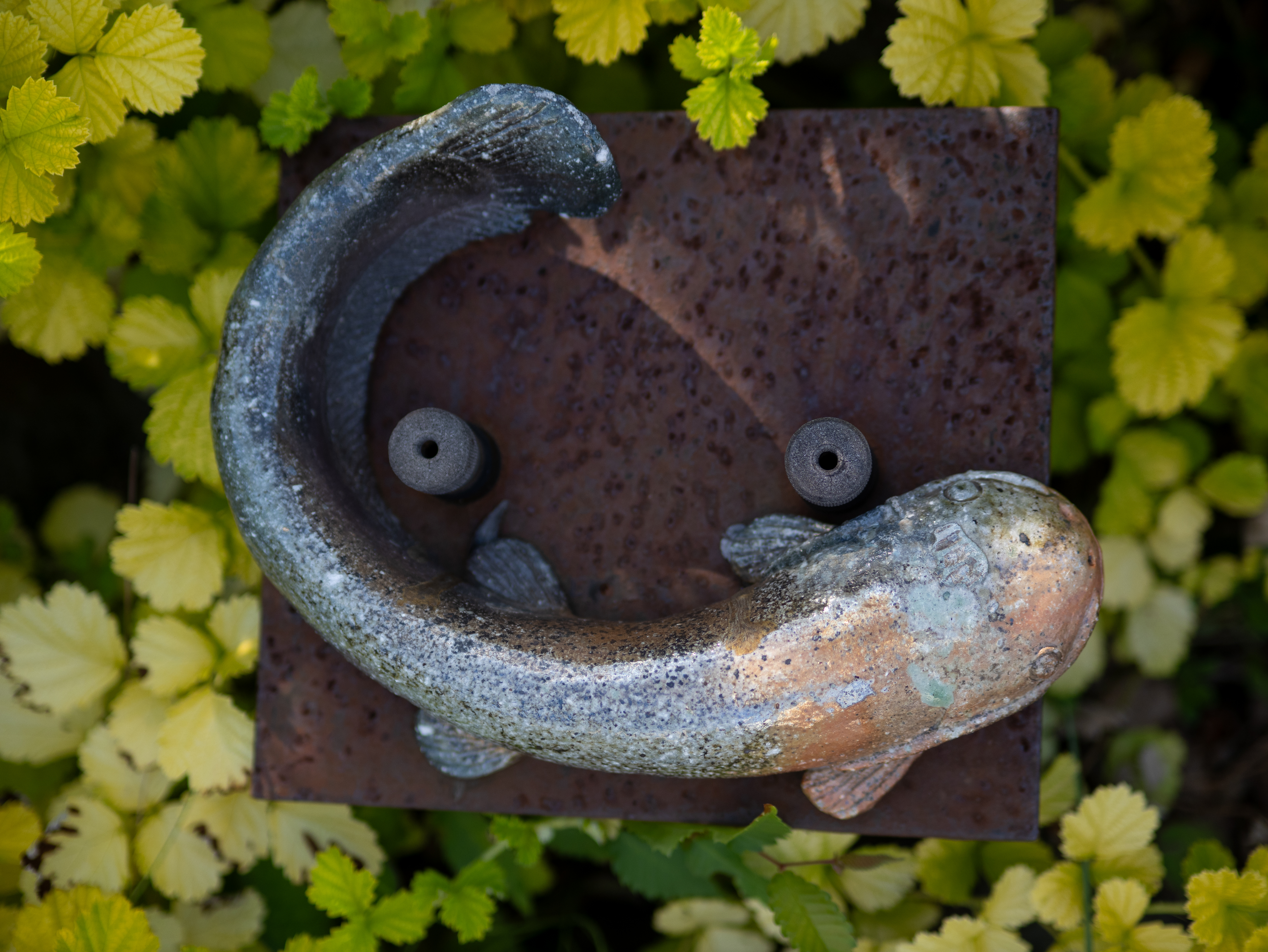 ナマズのオブジェかなあ。周囲の草むらに取り囲まれるように置いてあり。曇り空で質感描写がいい感じです。<br><span class="fnt-85">パナソニック LUMIX G9PROII／ライカ・Dズミルックス25mm F1.4 ASPH.／25mm（50mm相当）／絞り優先AE（1/1,000秒、F1.8、−1.0EV）／ISO 100</span>