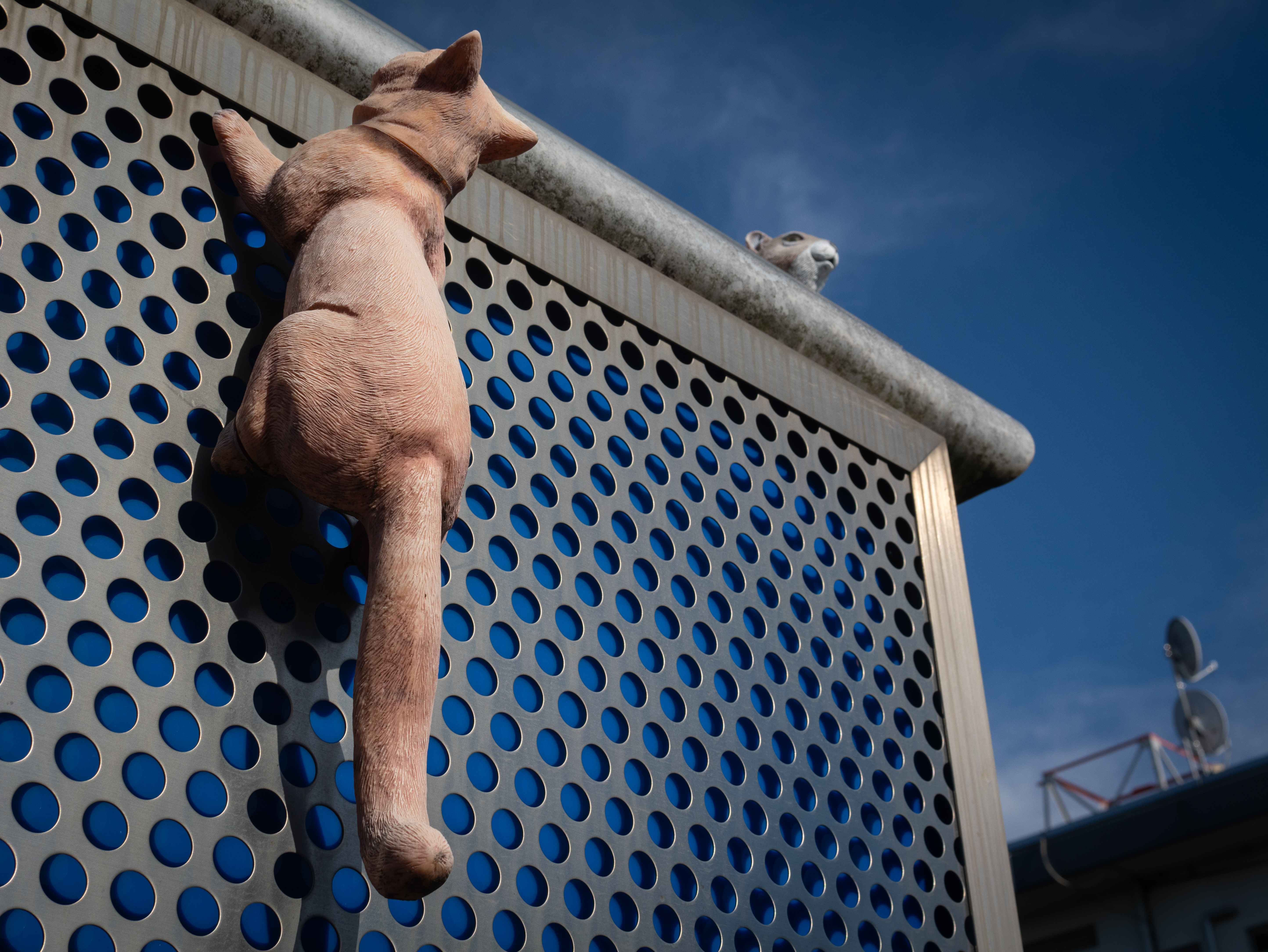 すばしこいネコと思ったら、これもオブジェですね。ネコ全体にフォーカスが来るように絞りを決めてみました。<br><span class="fnt-85">パナソニック LUMIX G9PROII／ライカ・Dズミルックス25mm F1.4 ASPH.／25mm（50mm相当）／絞り優先AE（1/640秒、F7.1、−0.7EV）／ISO 100</span>