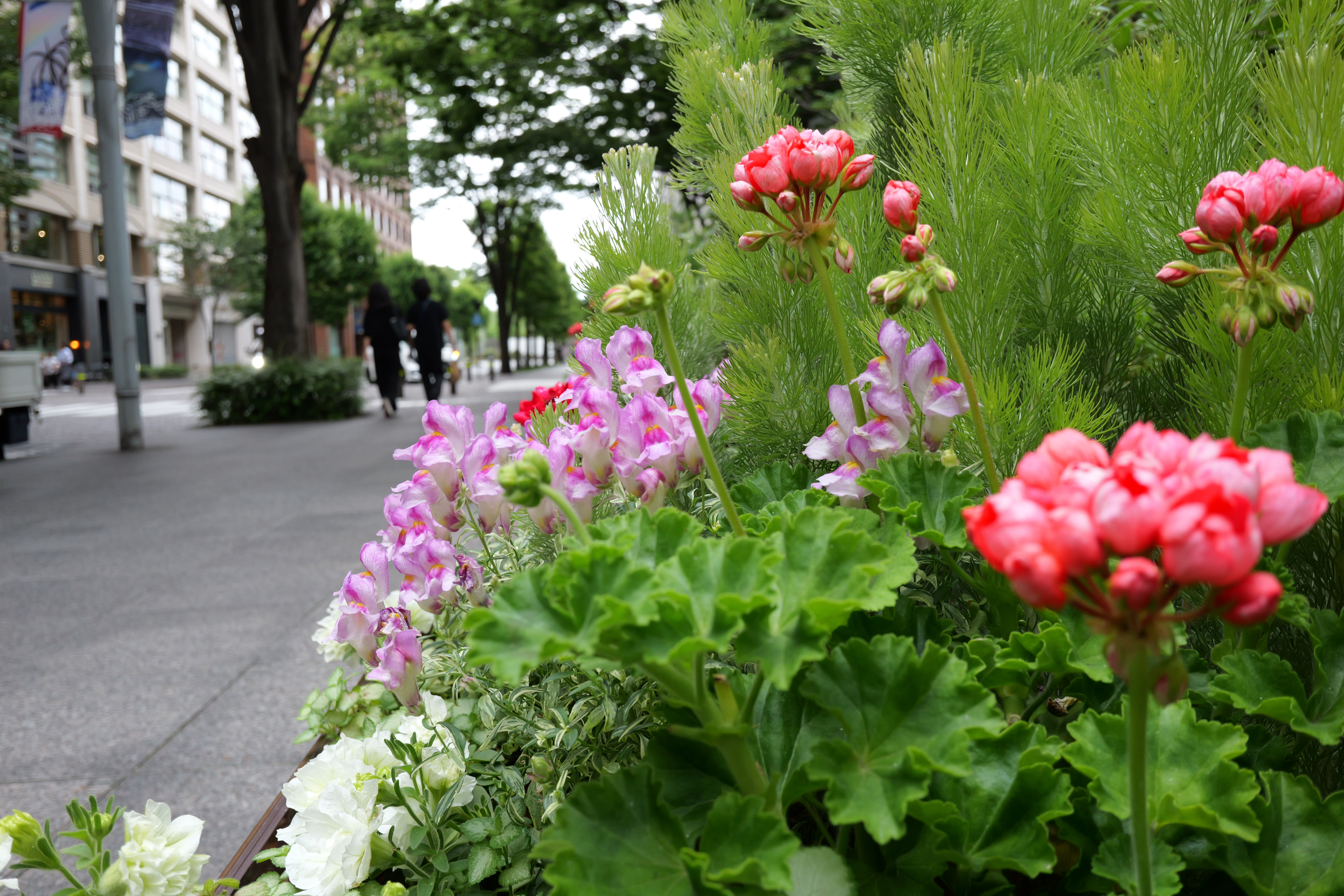 LUMIX S9／LUMIX S 26mm F8／26mm／絞り優先（1/30秒・F8・＋0.3EV）／ISO 1000