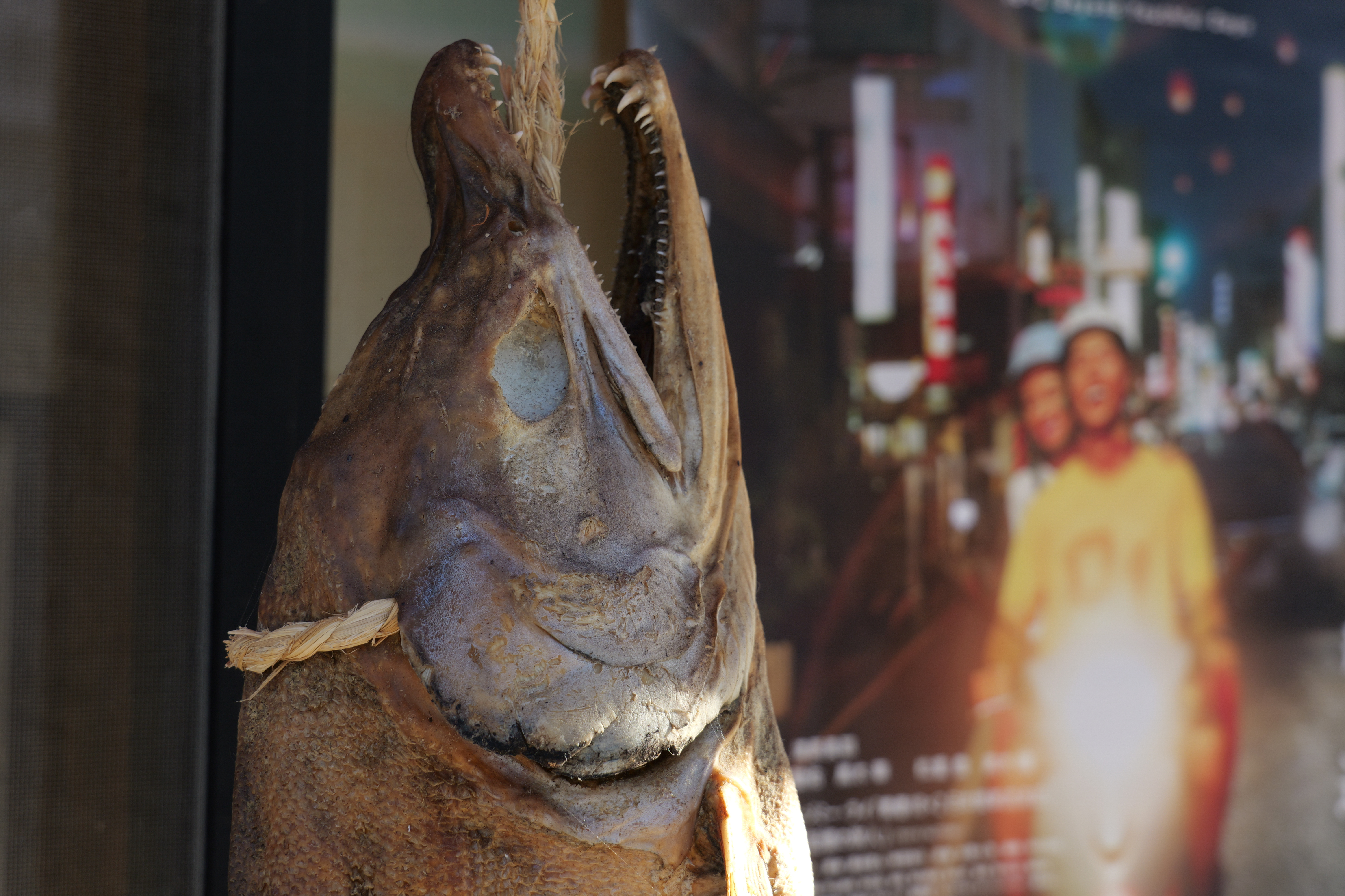 LUMIX S9／LUMIX S 28-200mm F4-7.1 MACRO O.I.S.／75mm／絞り優先（1/80秒・F8・－0.7EV）／ISO 400