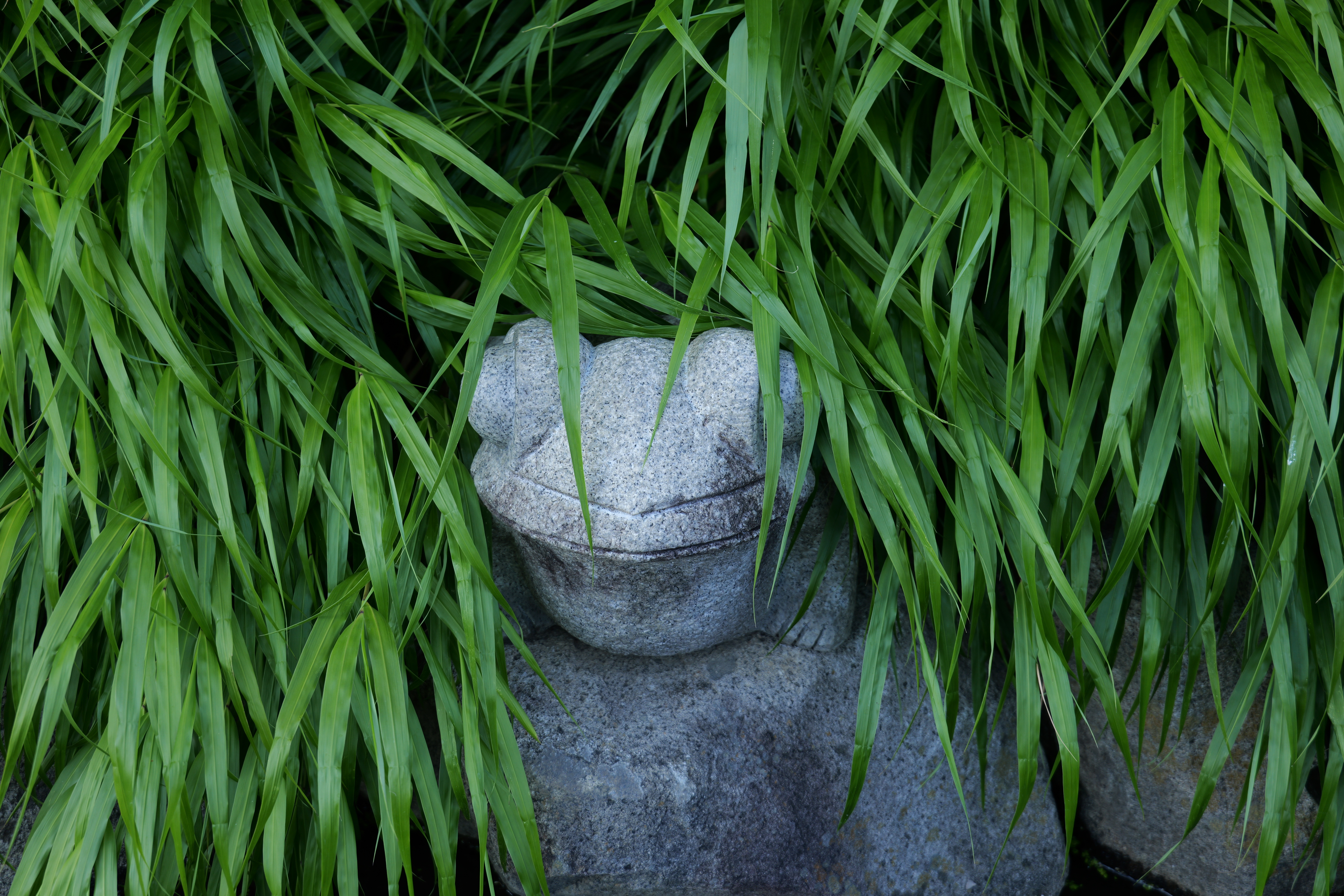 LUMIX S9／LUMIX S 50mm F1.8／50mm／絞り優先（1/60秒・F5.6・－0.7EV）／ISO 200