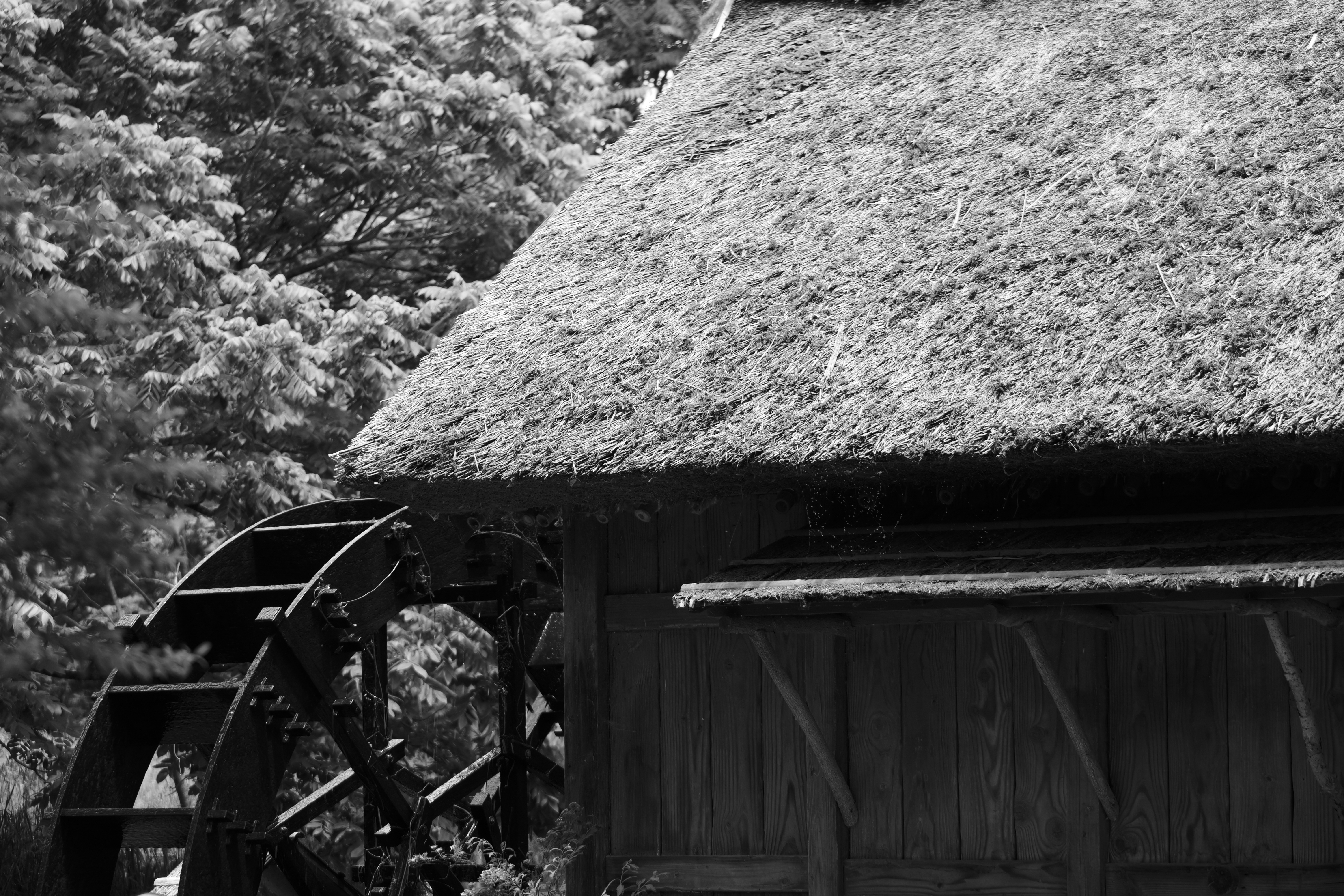 LUMIX S9／LUMIX S 28-200mm F4-7.1 MACRO O.I.S.／90mm／絞り優先（1/100秒・F5.8・－0.7EV）／ISO 125