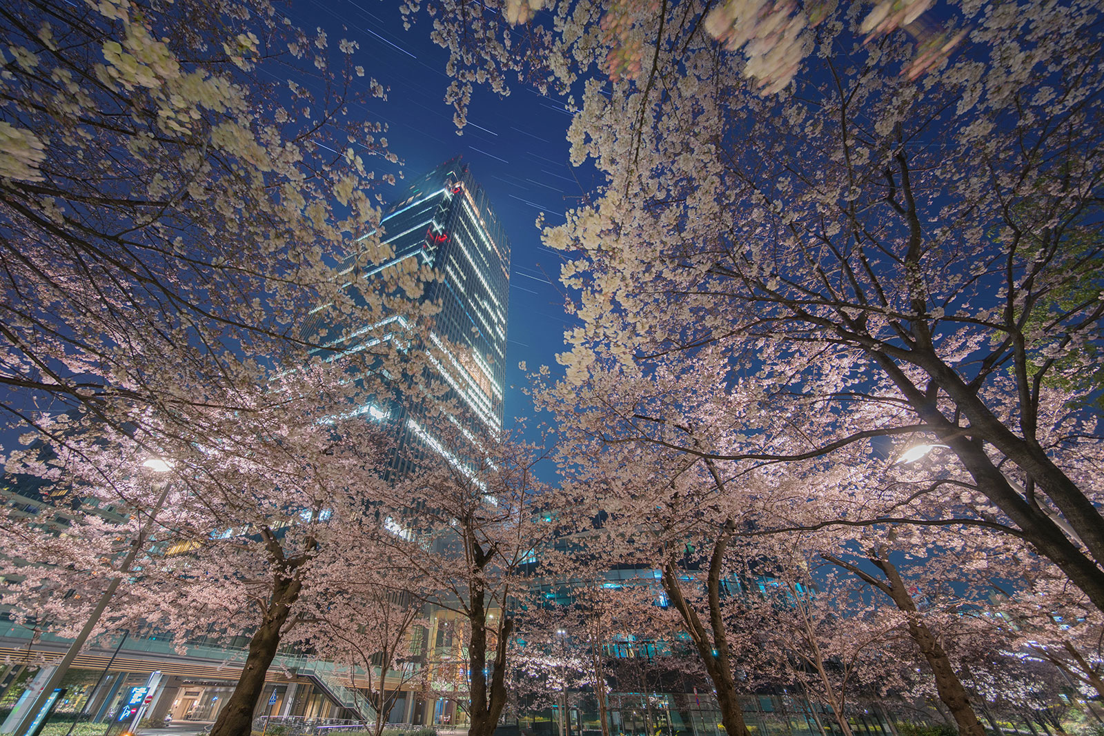 photo by Masanobu Higashiyama（写真展出展作品）