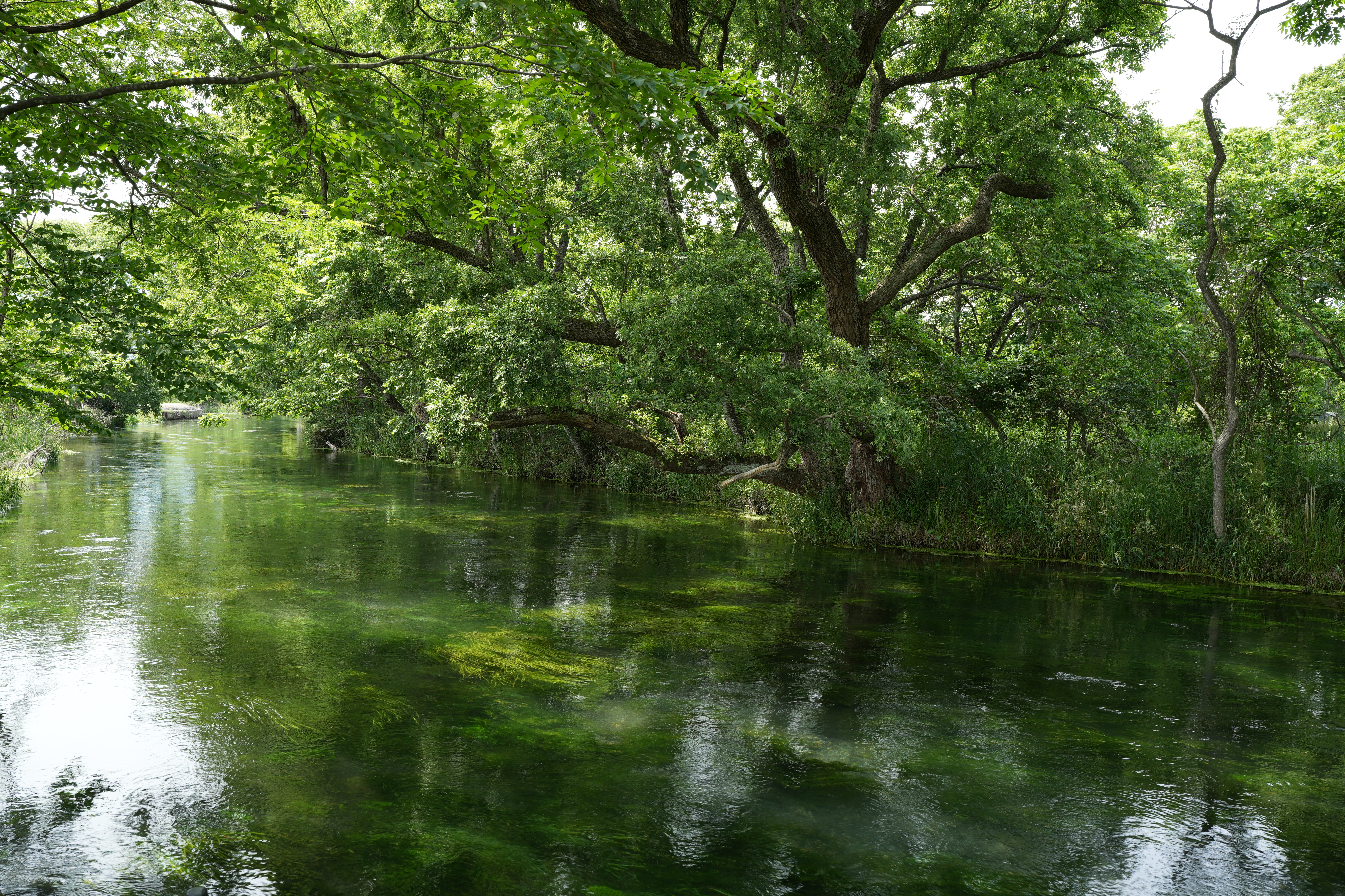 ソニー α7C II／SIGMA 28-45mm F1.8 DG DN｜Art／28mm／絞り優先AE（1/40秒、F8.0、−0.7EV）／ISO 100