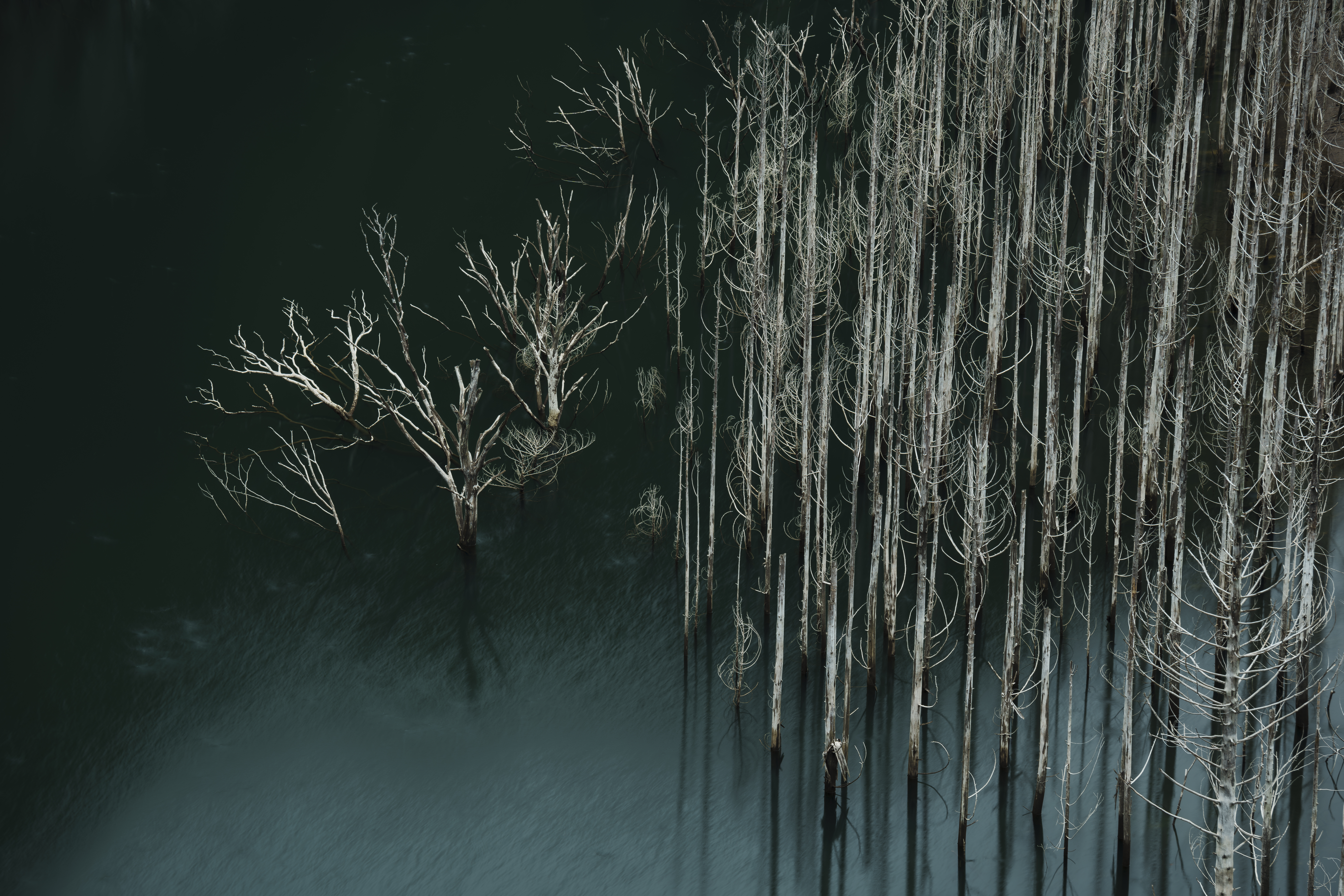 ソニー α1／50-300mm F/4.5-6.3 Di III VC VXD／148mm／絞り優先AE（F11、4秒、-0.3EV）／ISO 100／ND64+PL