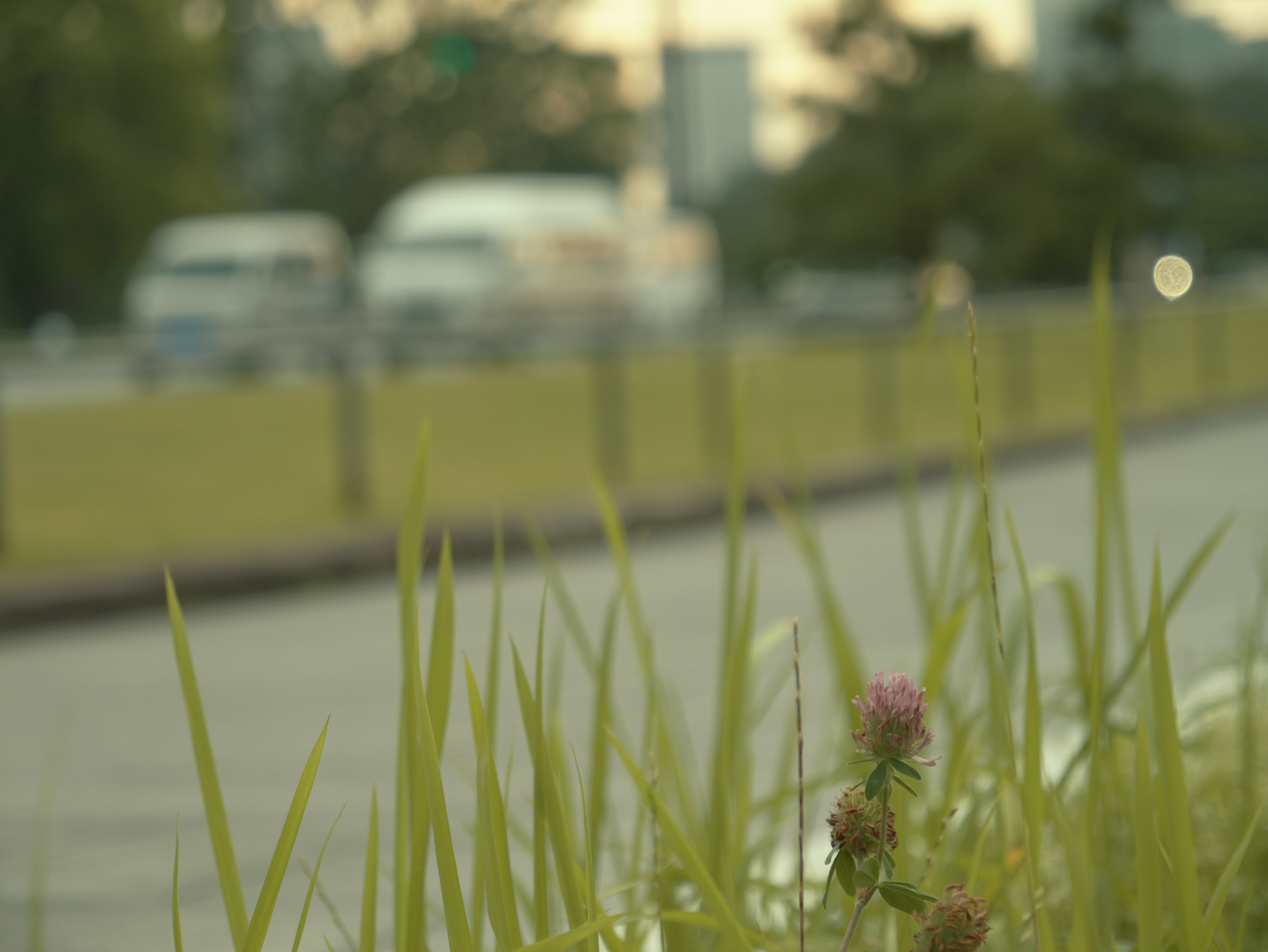 リアルタイムLUT：Moody Warm（Alex Jackson氏）