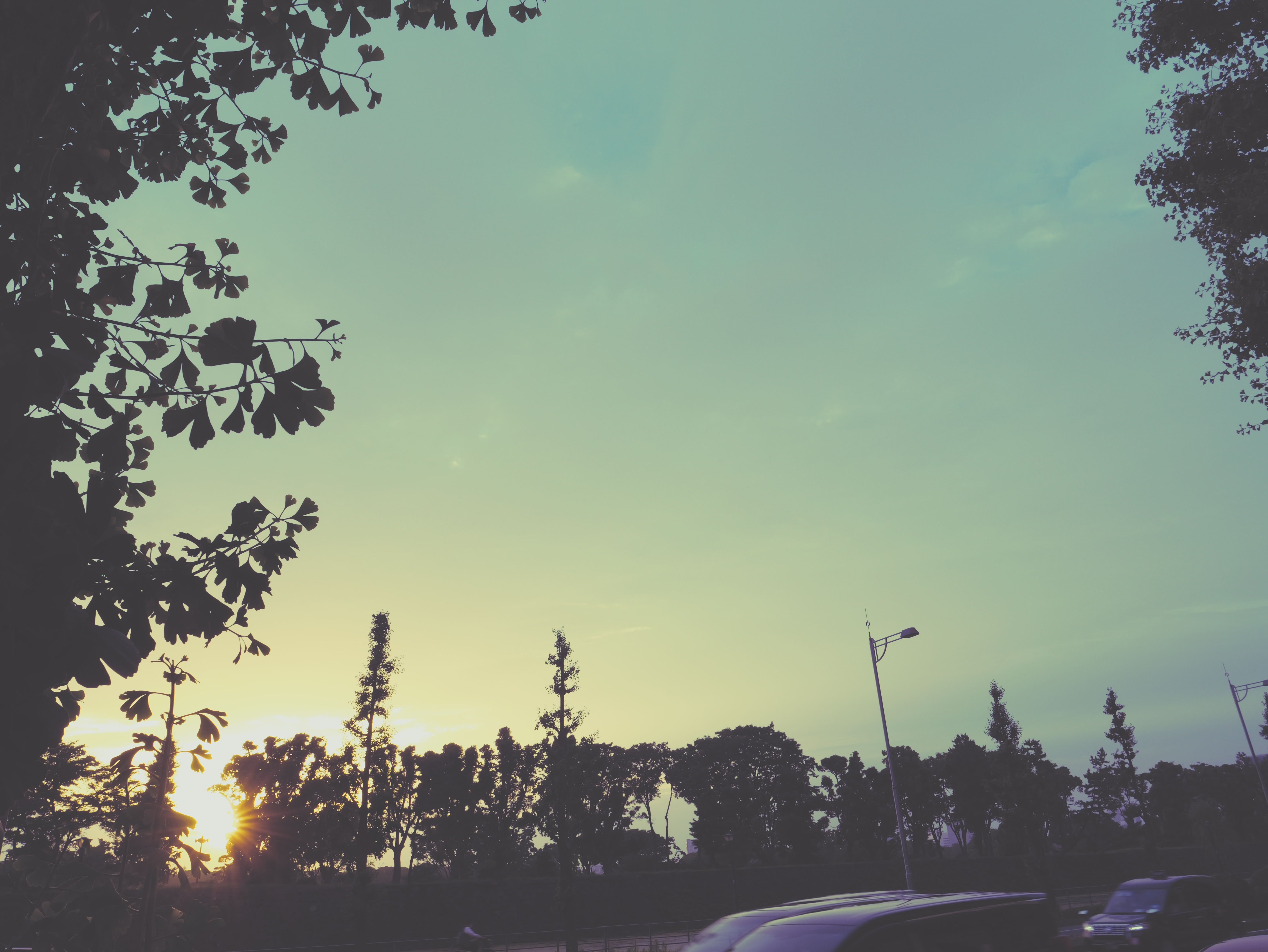 リアルタイムLUT：筆者作成のLUT