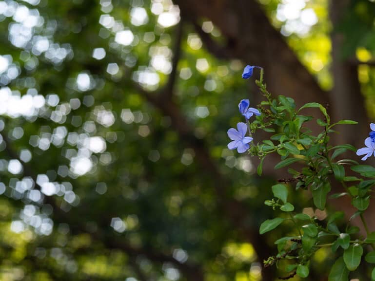 提供：E＆Iクリエイション株式会社（以下同）