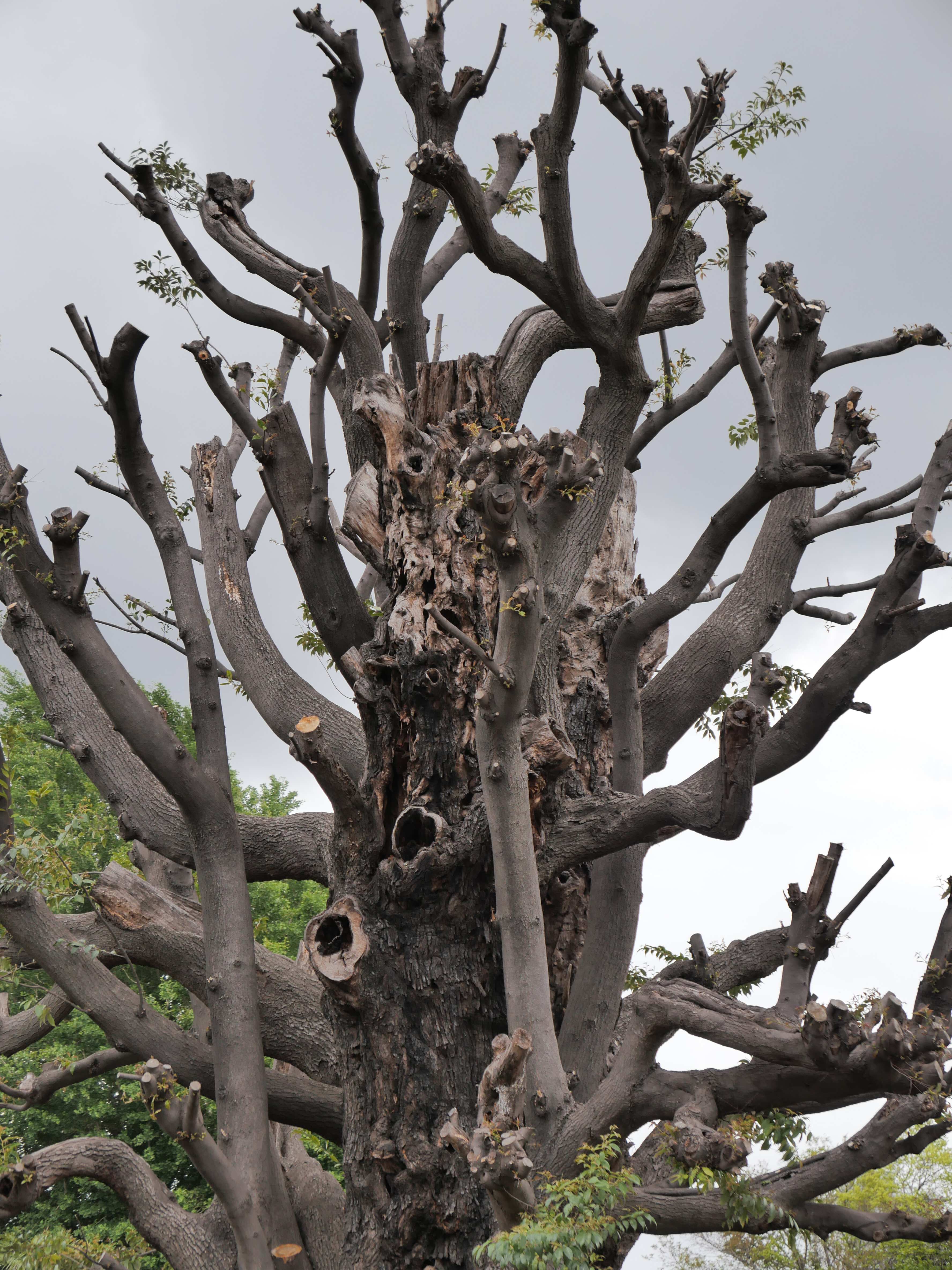 ライカD-LUX8／34mm（75mm相当）／1/500秒・F2.8／ISO 200