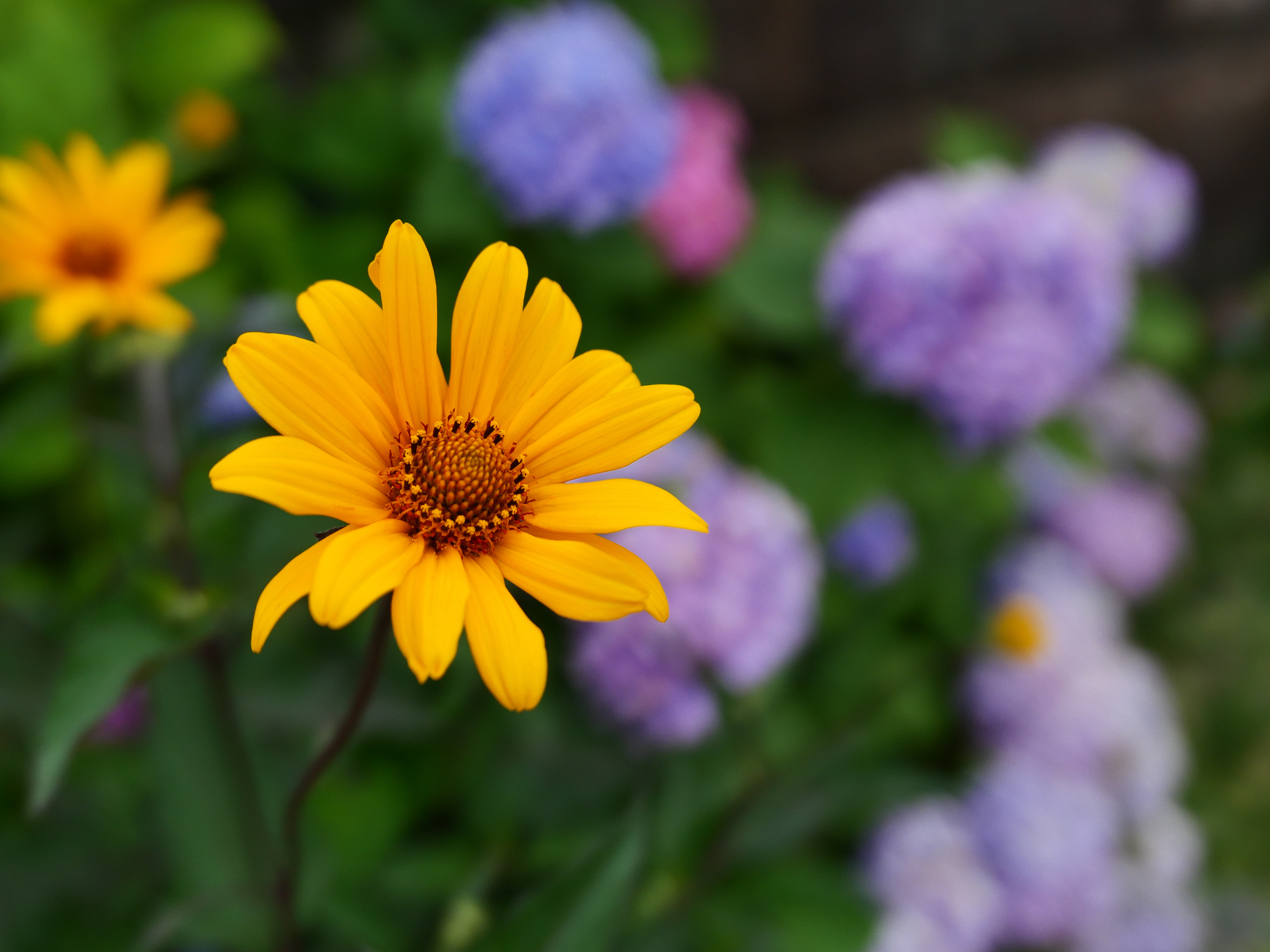 ライカD-LUX8／18mm（41mm相当）／1/1,600秒・F2.8／ISO 400