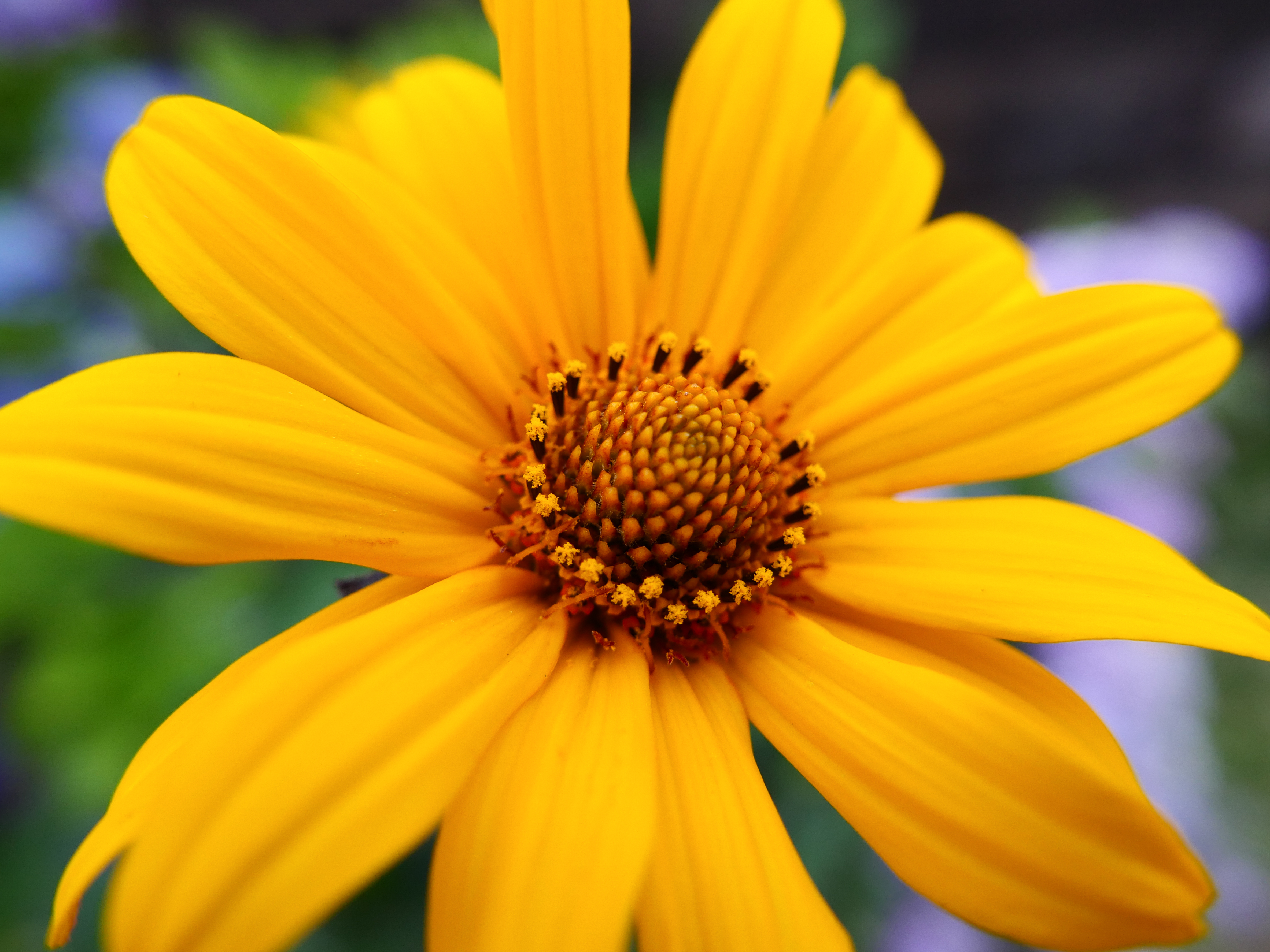 ライカD-LUX8／11mm（24mm相当）／1/500秒・F4・＋0.7EV／ISO 400