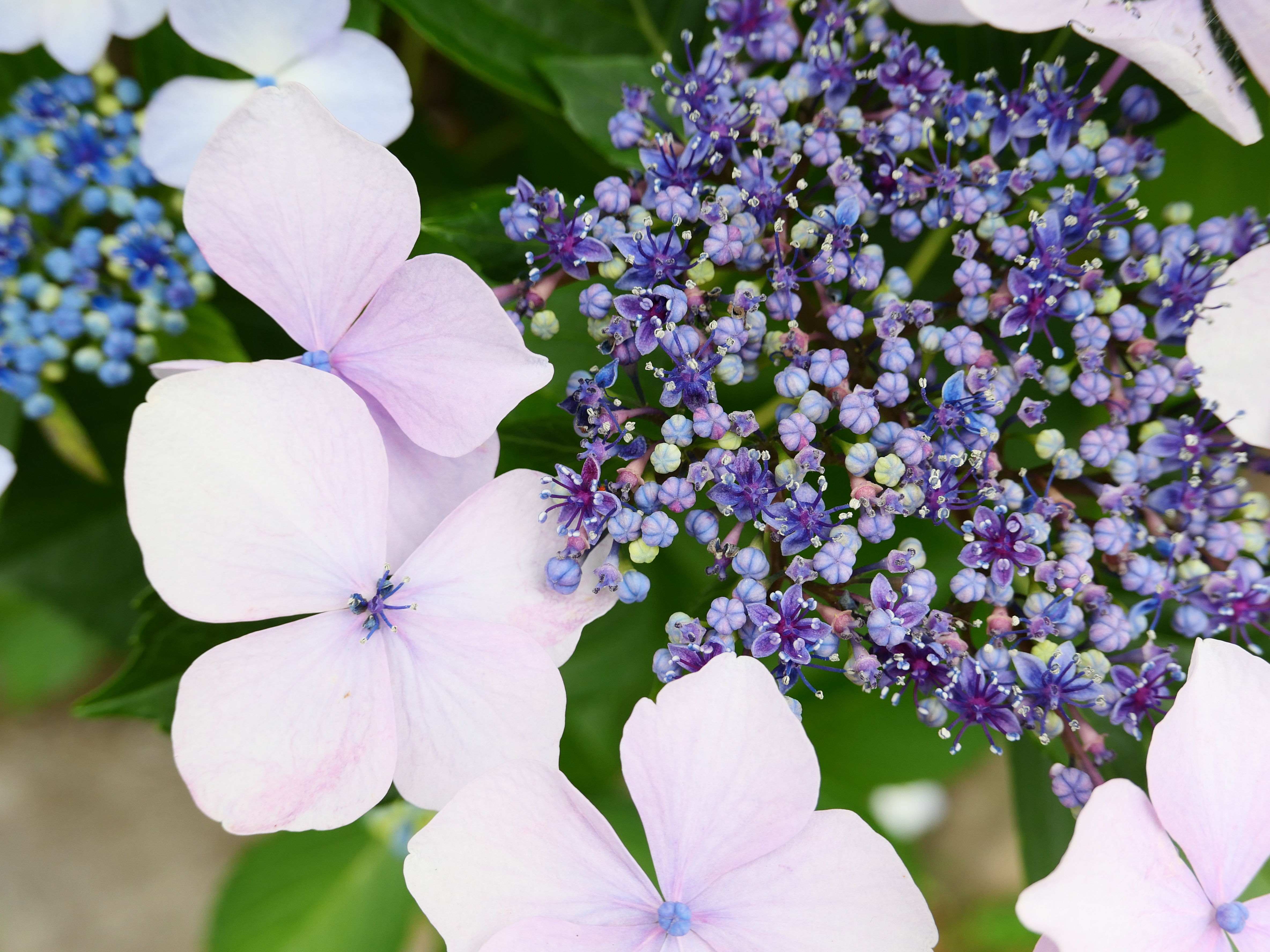 ライカD-LUX8／18mm（41mm相当）／1/160秒・F4・＋1EV／ISO 400