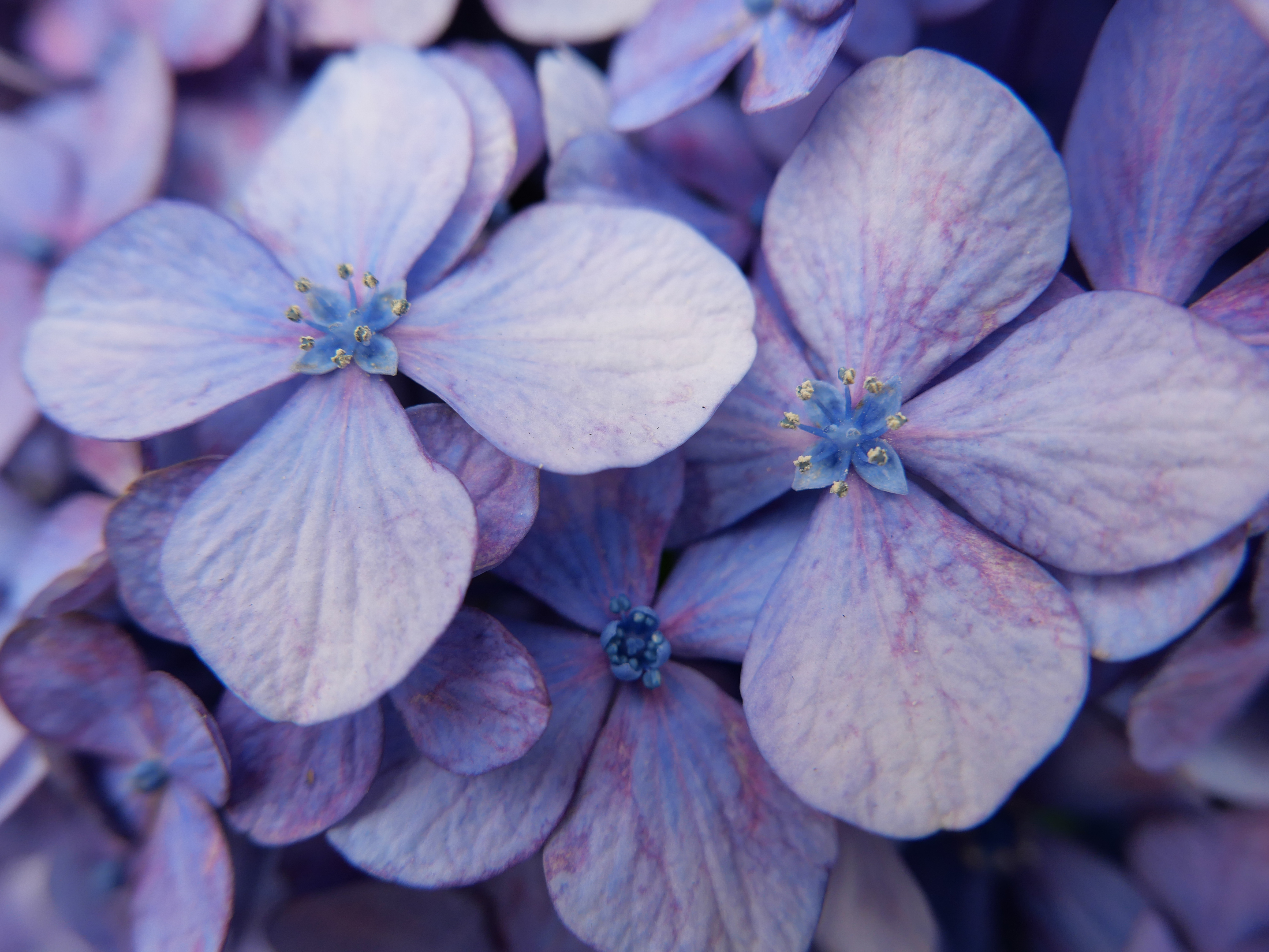 ライカD-LUX8／11mm（24mm相当）／1/500秒・F4・＋0.3EV／ISO 200