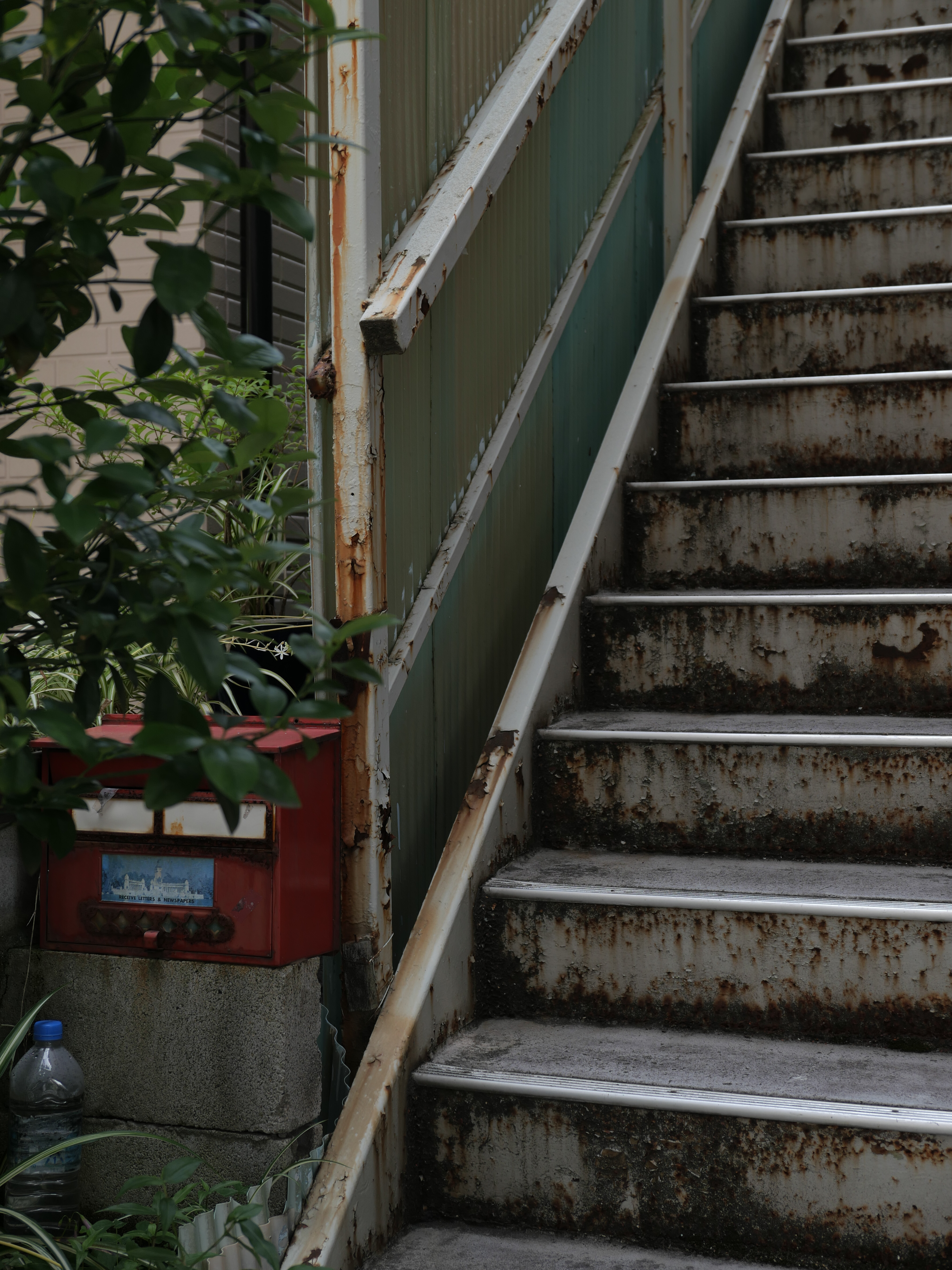 ライカD-LUX8／23mm（50mm相当）／1/320秒・F2.8・－1.7EV／ISO 100