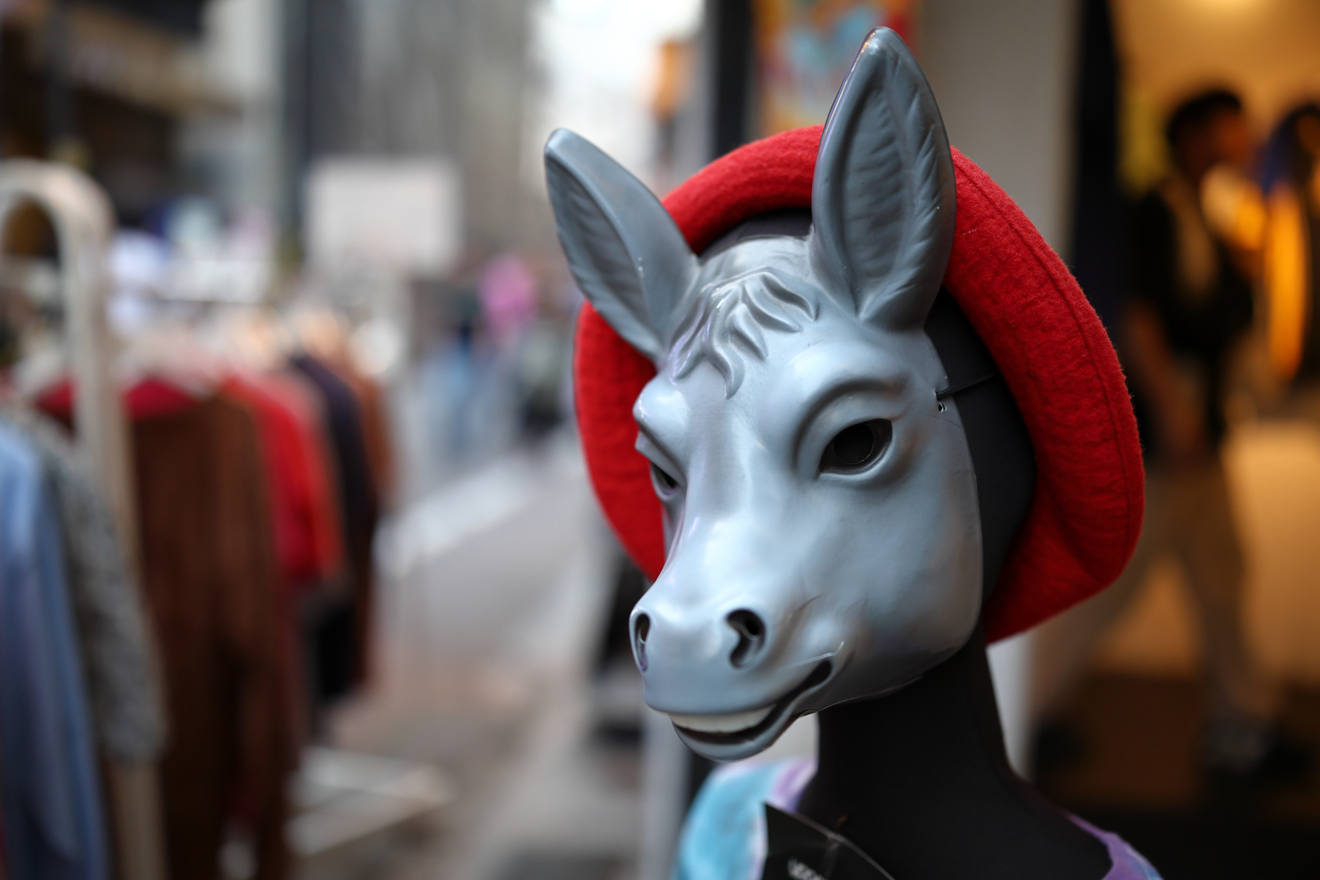 ウマ？ ロバ？ の形していても、EOS R6 Mark IIは何も言わなくても目玉の奥の奥にピントを合わせにいきます。背景ボケがうるさくなるのかなあと思ったら良い感じに省略してもらえました。<br><span class="fnt-85">キヤノン EOS R6 Mark II／RF35mm F1.4 L VCM／絞り優先AE（1/500秒、F1.4、−0.7EV）／ISO 400</span>