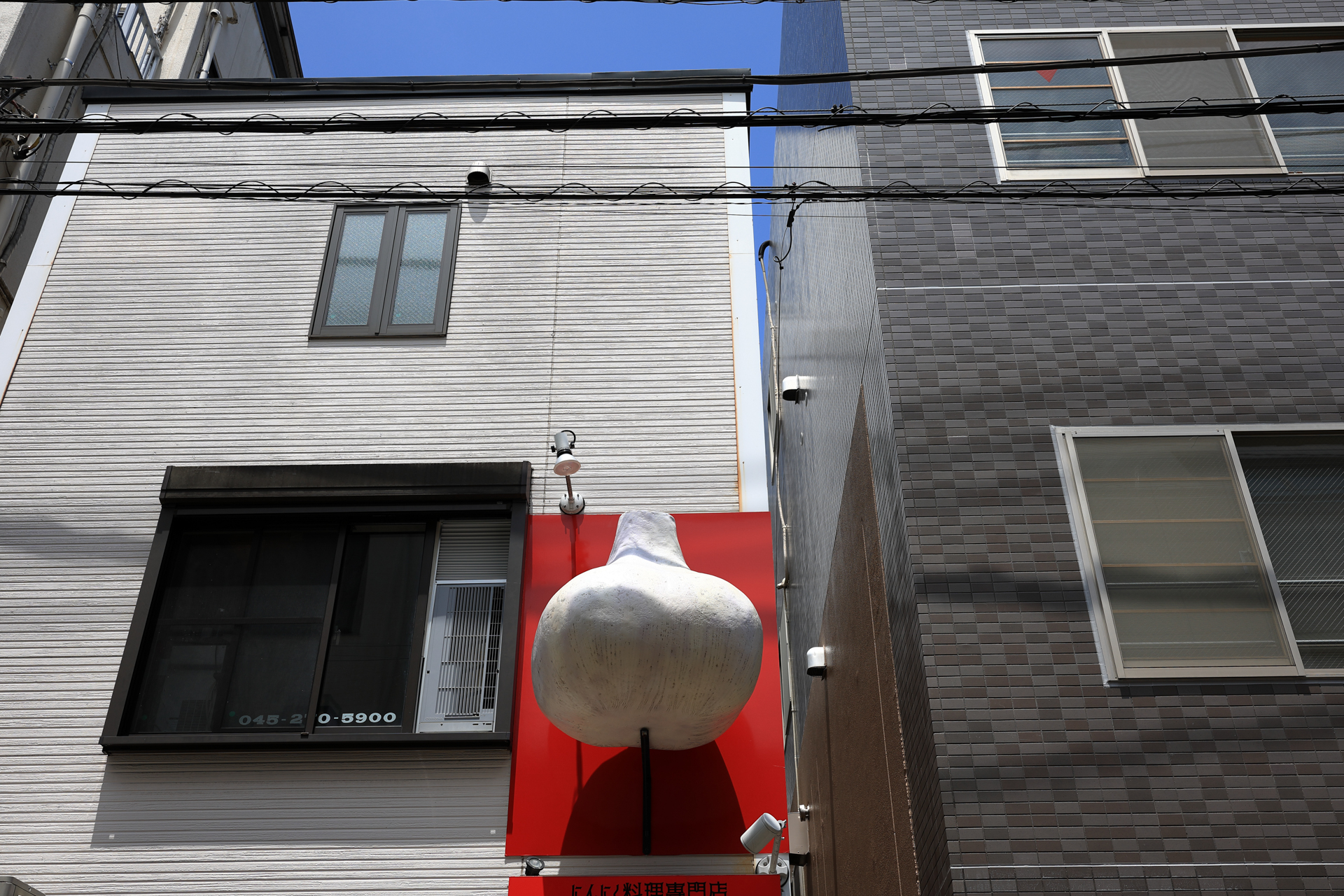 実直な描写というか、ひたすら鮮明な質感描写に驚きます。何かを見つけたら躊躇なくシャッターを切ることにしましょう。<br><span class="fnt-85">キヤノン EOS R6 Mark II／RF35mm F1.4 L VCM／プログラムAE（1/400秒、F7.1、±0.0EV）／ISO 100</span>