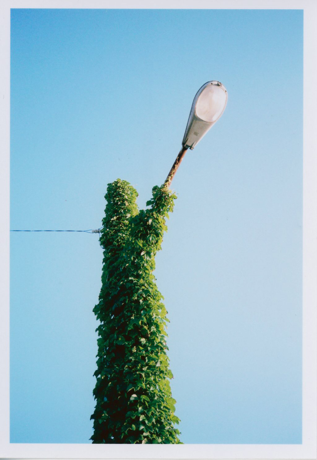 PENTAX 17 / 撮影モード：AUTO/ パンフォーカス / 露出補正：＋1EV / フィルム：フジカラー SUPERIA PREMIUM 400