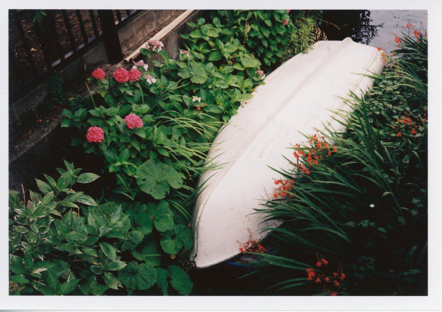 PENTAX 17 / 撮影モード：P/ ゾーンフォーカス：中距離 / 露出補正：±0EV / フィルム：Kodak ColorPlus 200