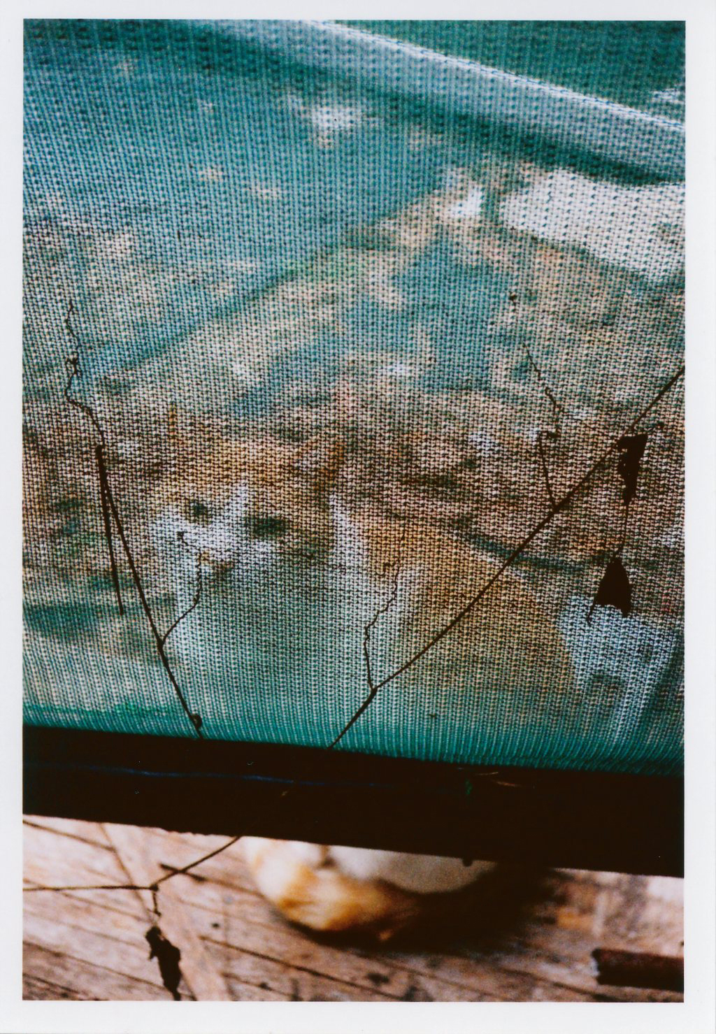 PENTAX 17 / 撮影モード：BOKEH / ゾーンフォーカス：テーブルフォト / 露出補正：＋1EV  / フィルム：Kodak ColorPlus 200