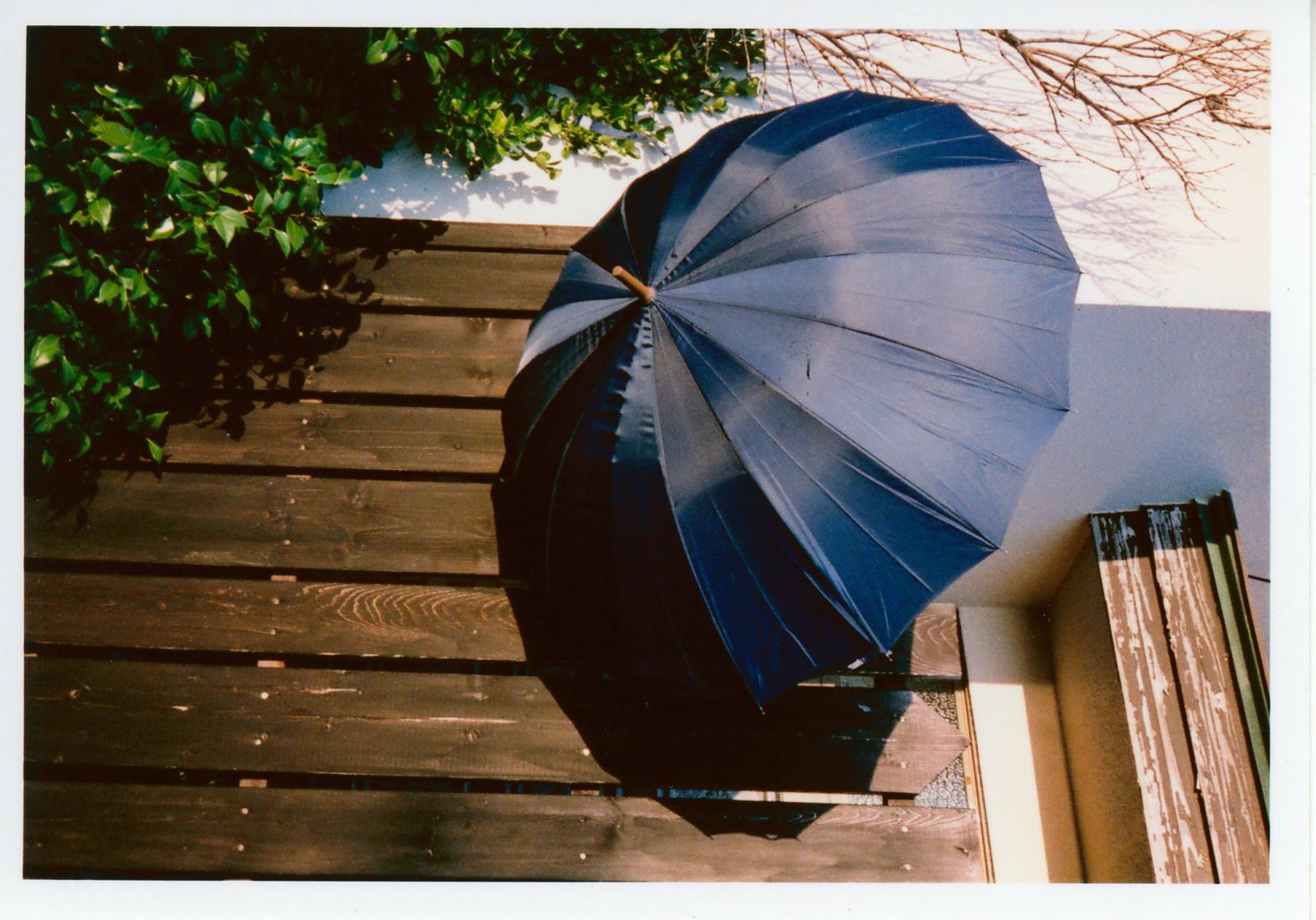 PENTAX 17 / 撮影モード：P / ゾーンフォーカス：近距離 / 露出補正：＋1EV / フィルム：フジカラー SUPERIA PREMIUM 400