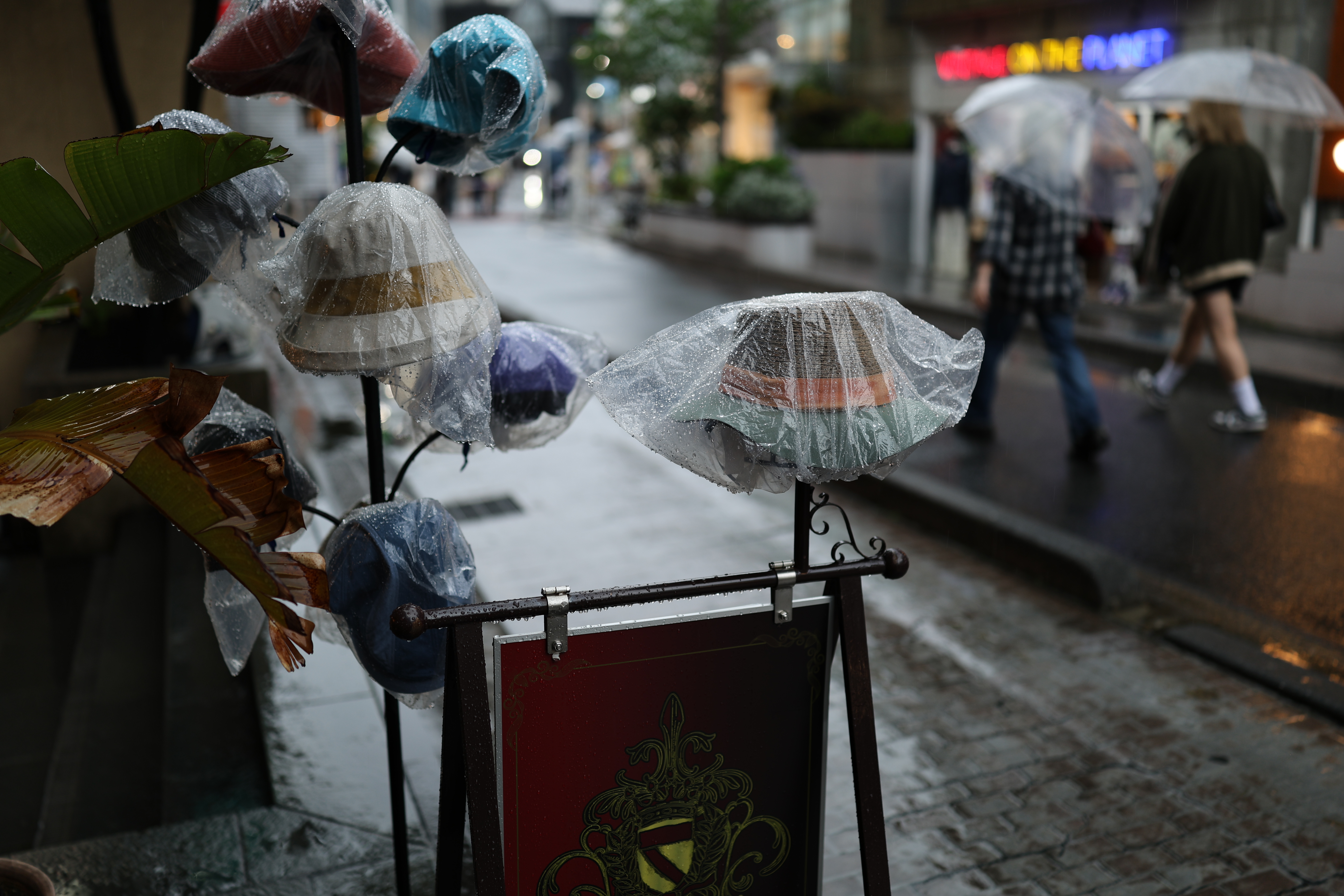 絞り開放で撮影。合焦部分の水滴が鮮明に描写された。また、このレンズに限らないが開放付近では玉ボケはレモン形になっていた<br><span class="fnt-85">キヤノン EOS R6 Mark II／RF35mm F1.4 L VCM／絞り優先AE（1/200秒、F1.4、−0.7EV）／ISO 100</span>